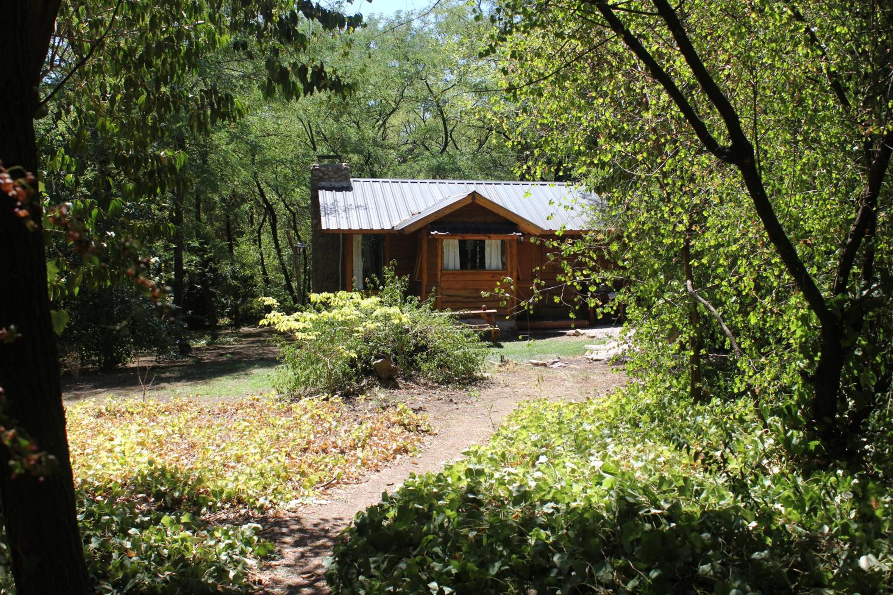 One-Bedroom Chalet photo 3