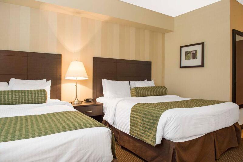 Double Room With Two Double Beds - Non-Smoking - Photo 2