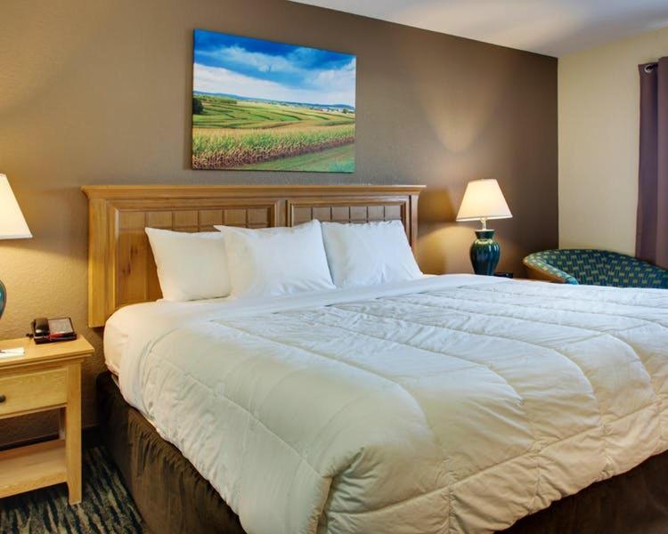EverSpring Inn & Suites, Foto 2