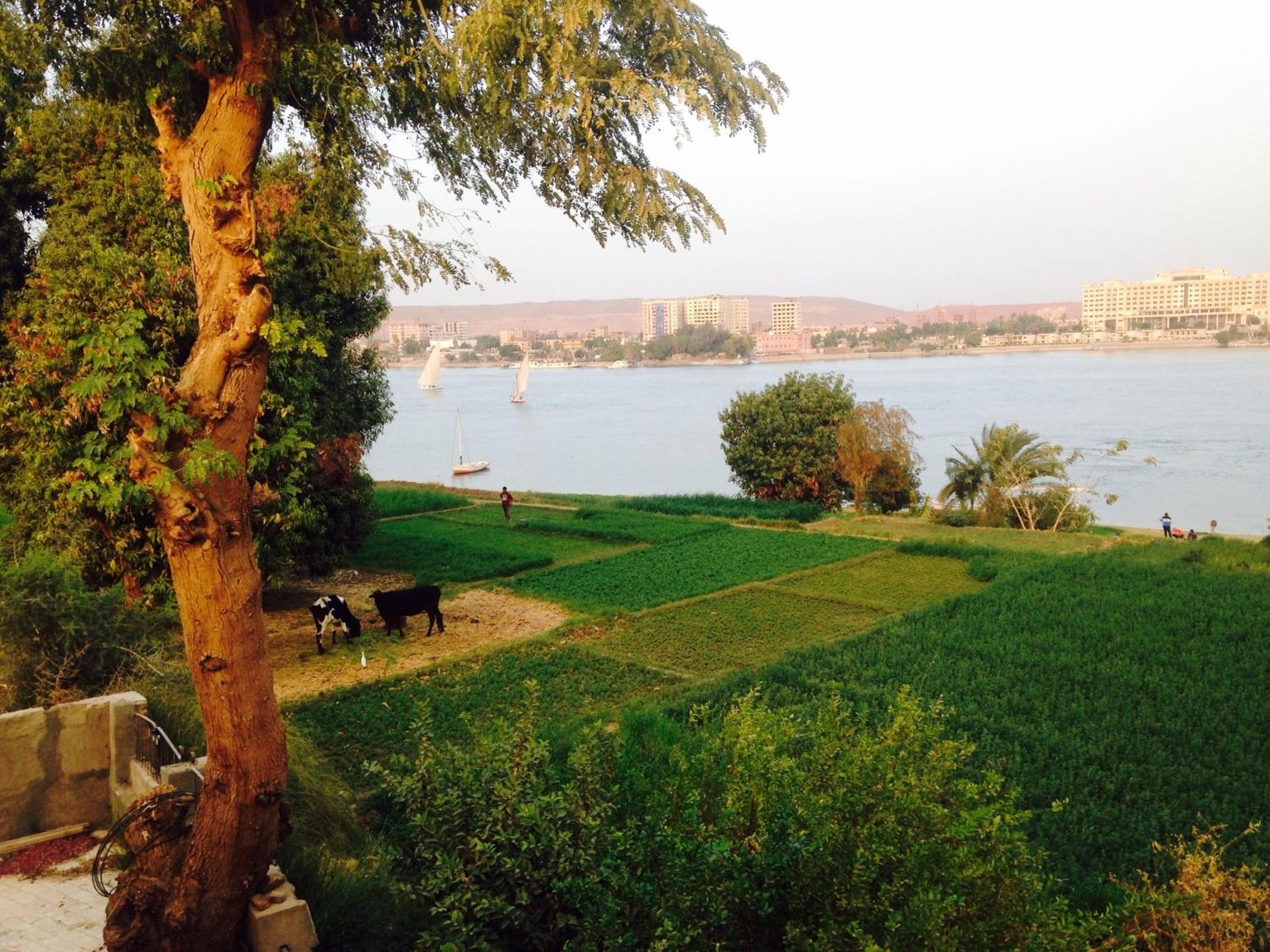Double Room with Private Bathroom With Nile View - Photo 52