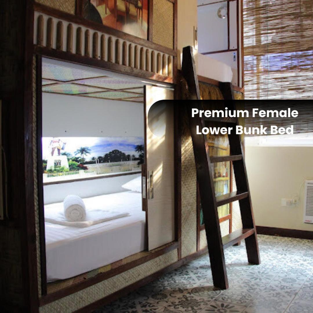 Bunk Bed in Female Dormitory Room photo 1