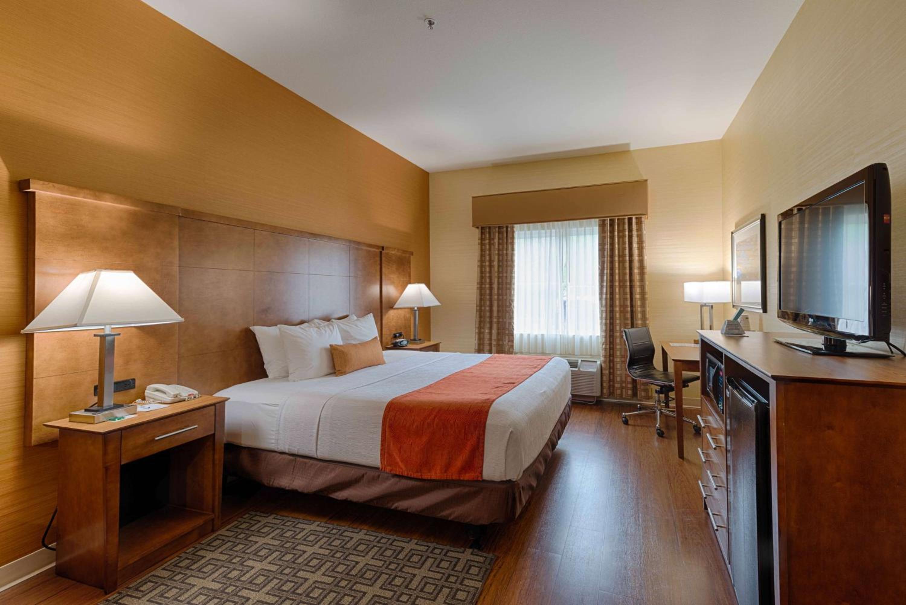 King Suite with Sofa Bed - Non Smoking photo 1