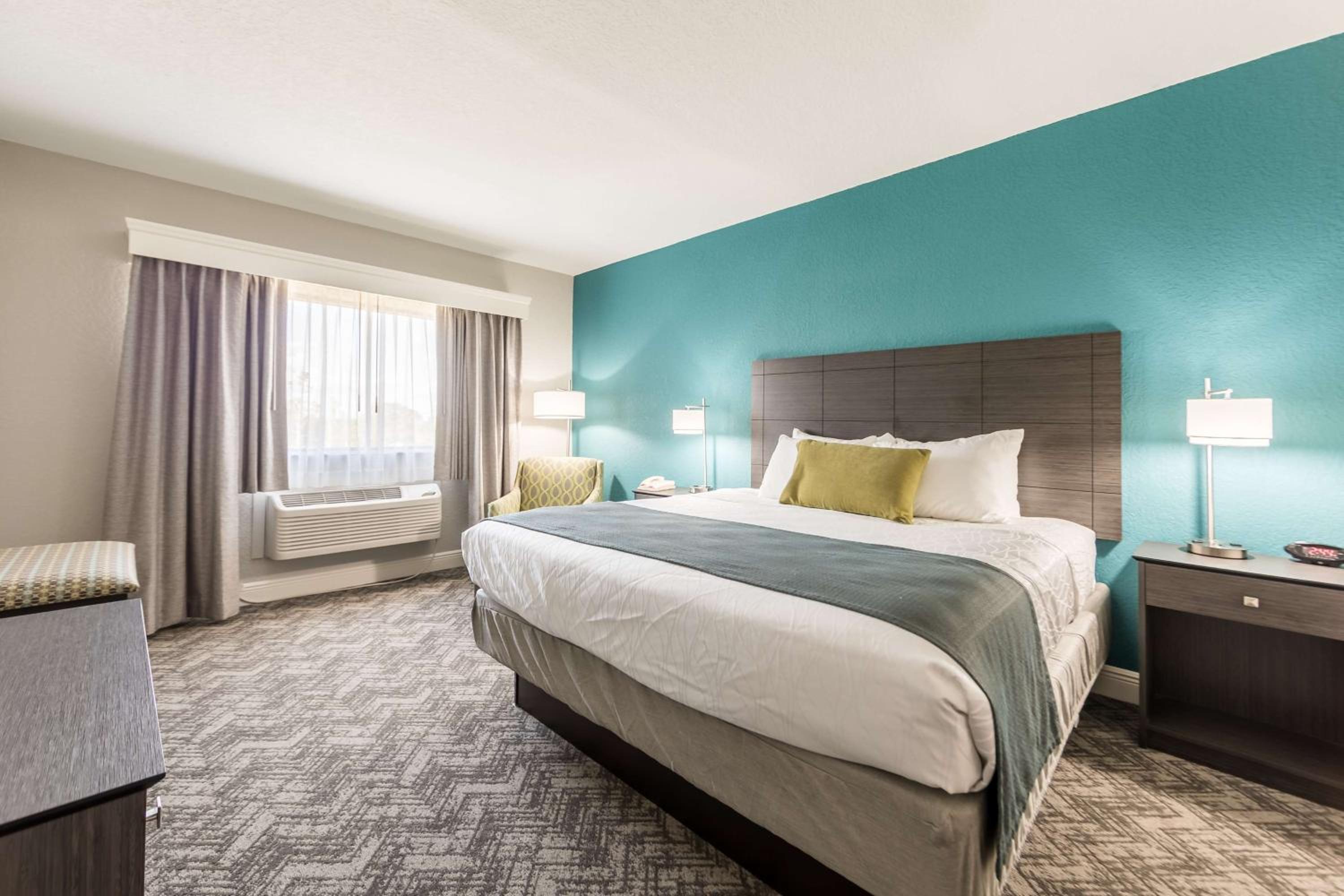King Suite with Sofa Bed - Non-Smoking - Photo 8