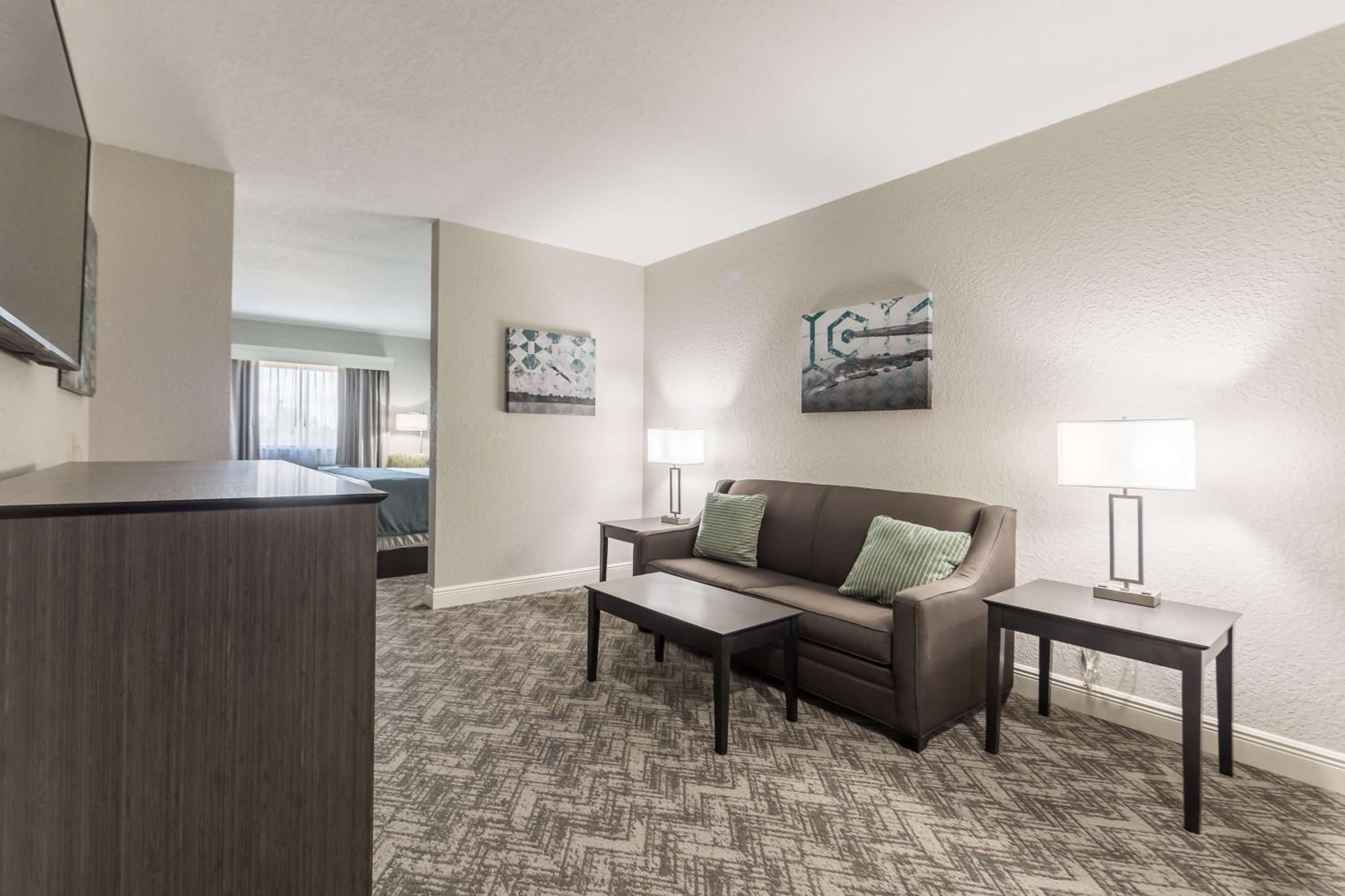 King Suite with Sofa Bed - Non-Smoking - Photo 11