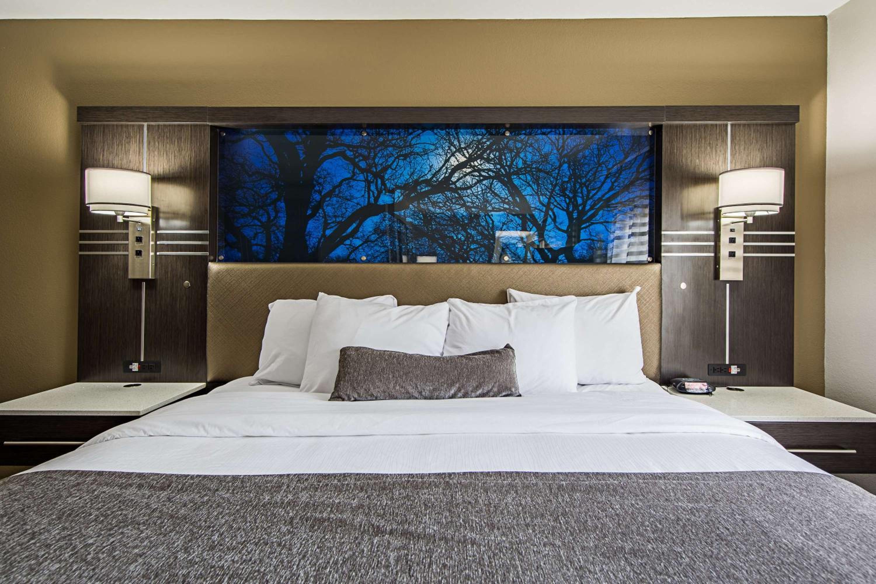 King Room - Non-Smoking - Photo 8