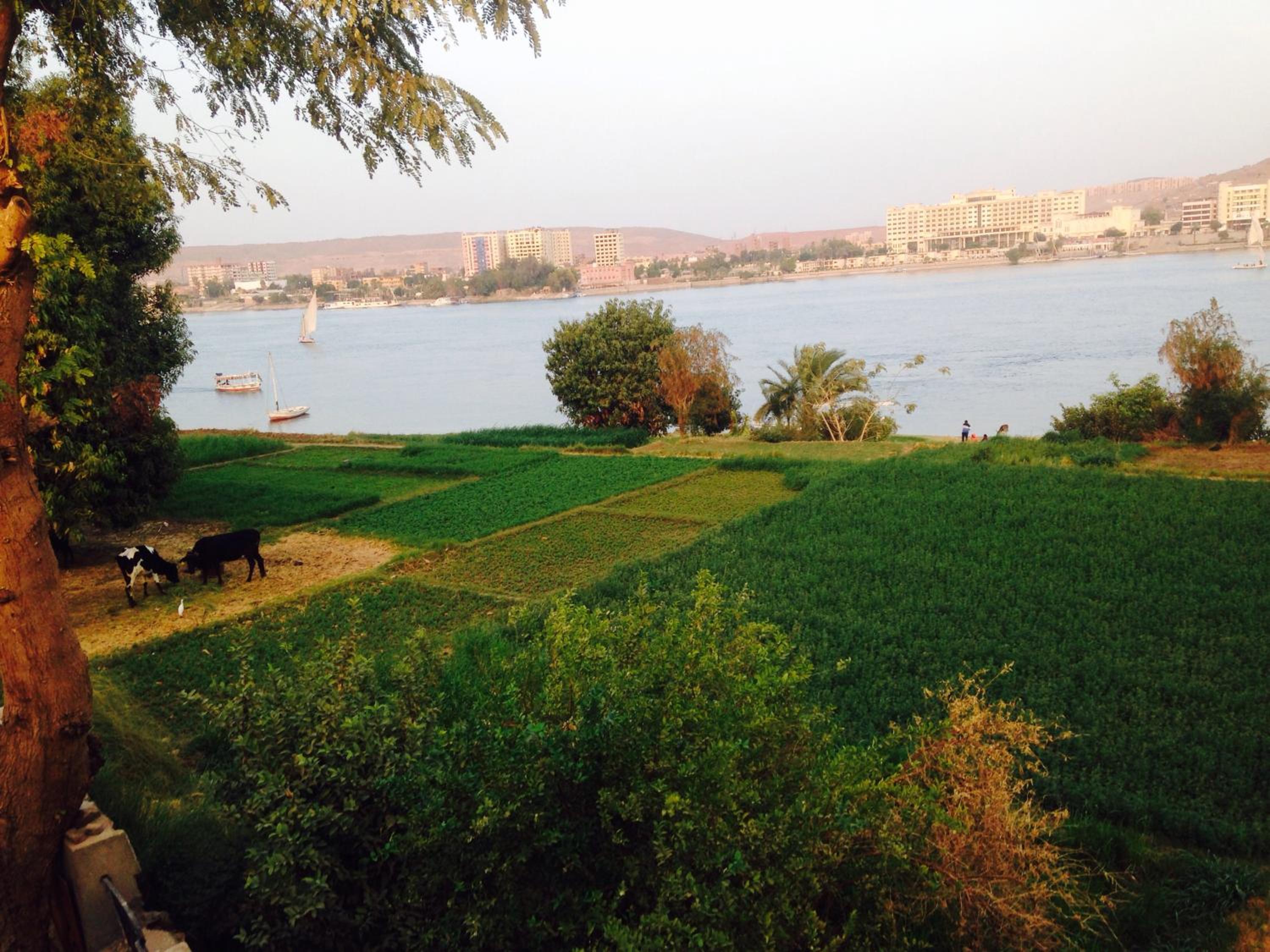 Double Room with Private Bathroom With Nile View - Photo 63