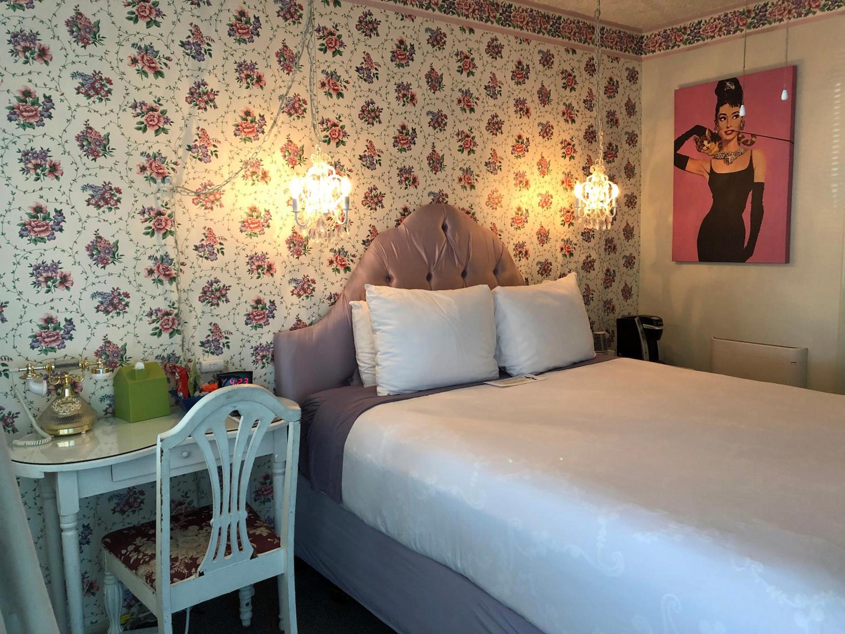 Standard Queen Room with View - Pet Friendly