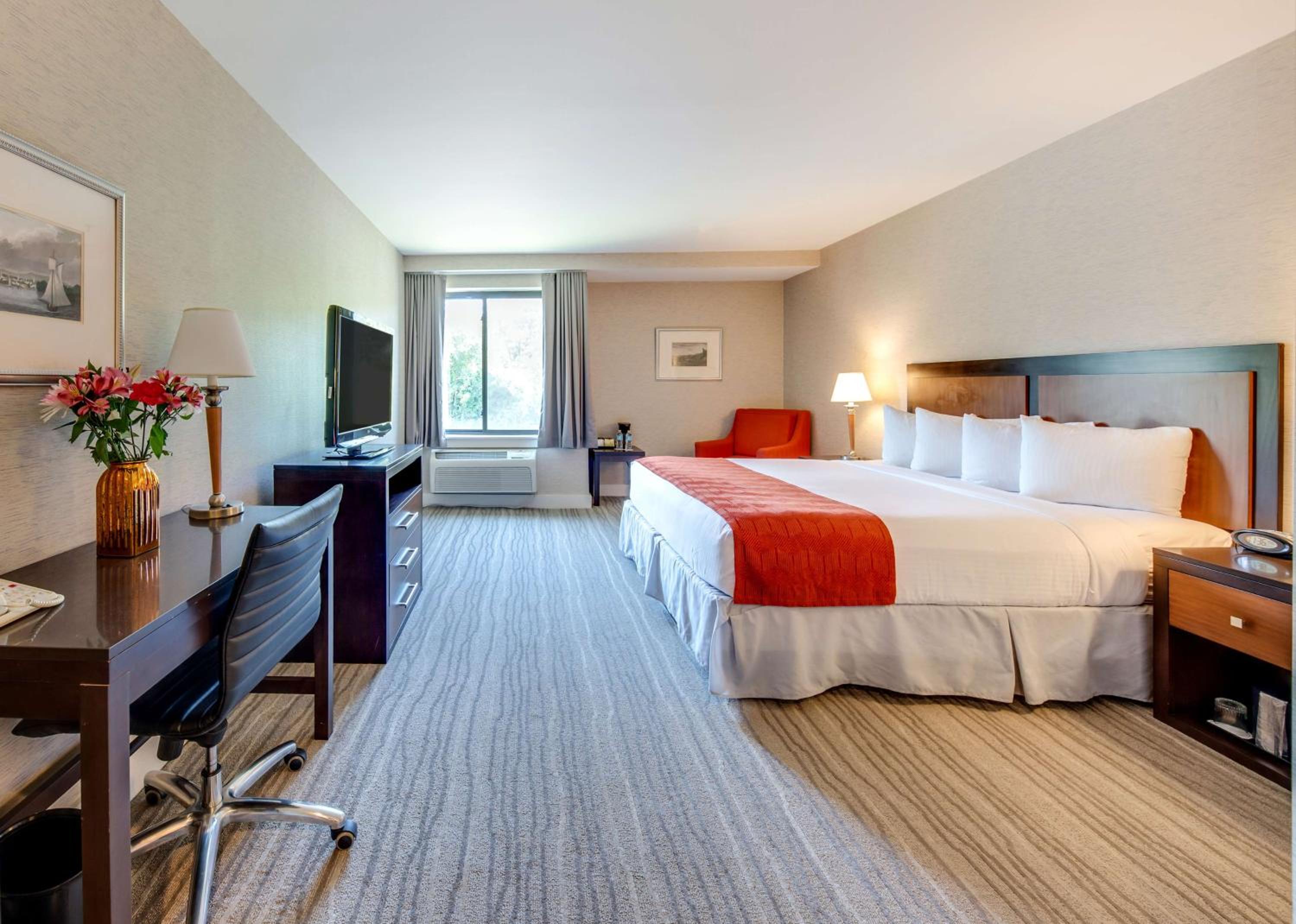 King Room - Disability Access/Non-Smoking - Photo 1