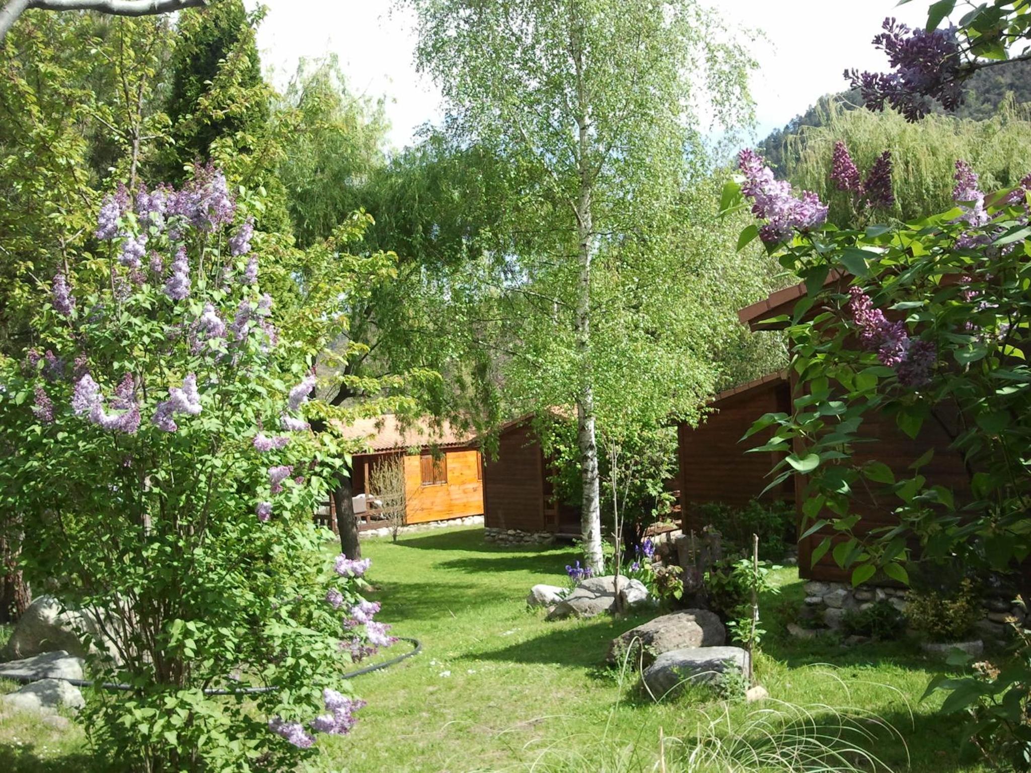 Chalet photo 3