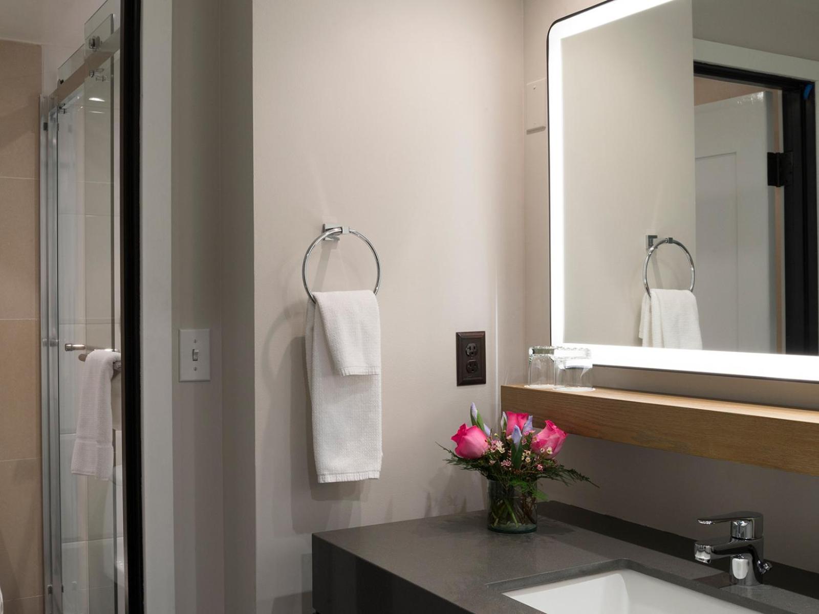 Studio Suite - Photo 3