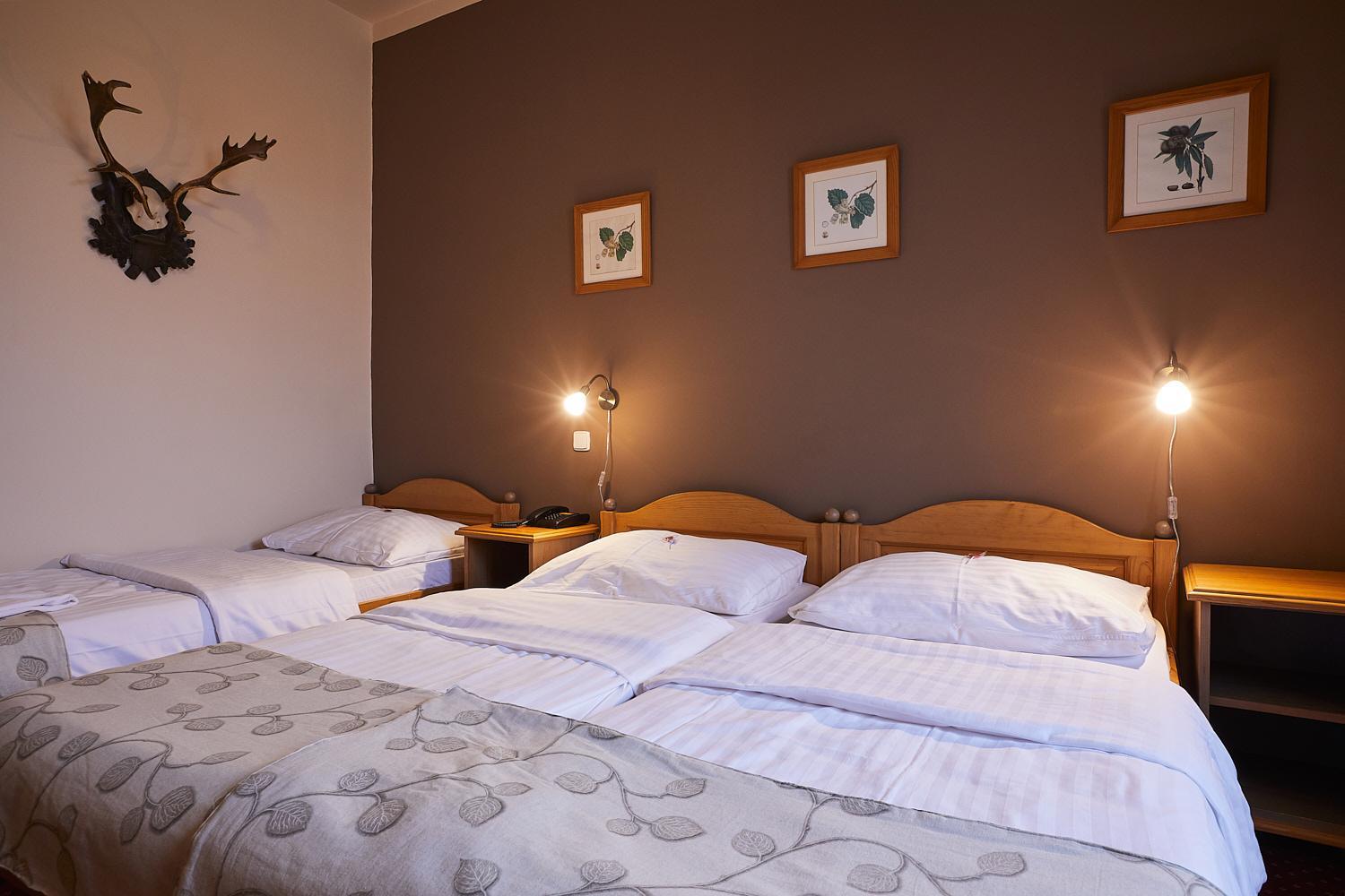 Deluxe Triple Room photo 2