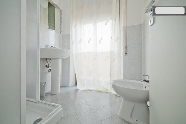 Large Double or Twin Room photo 2