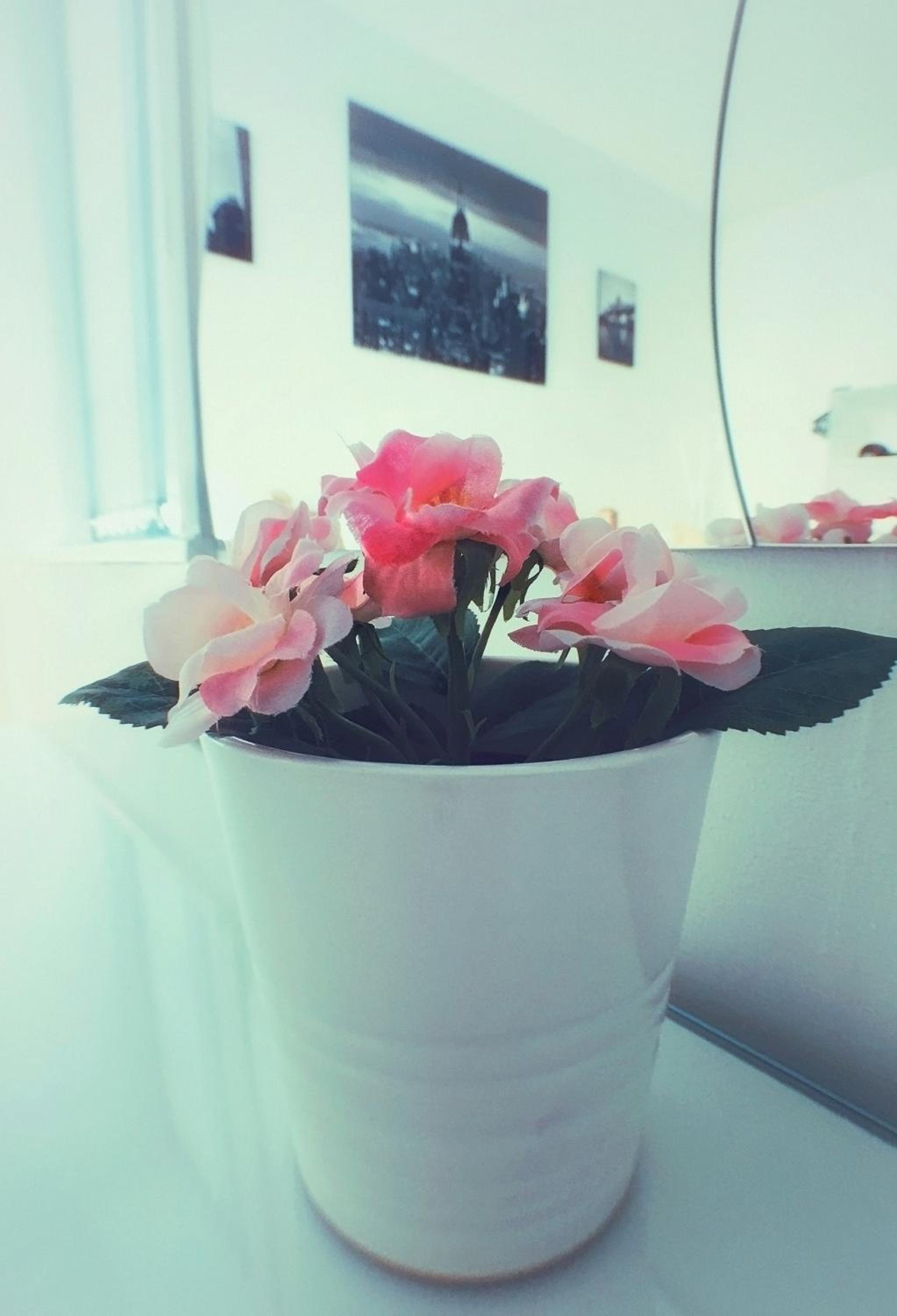 Apartment - Photo 15