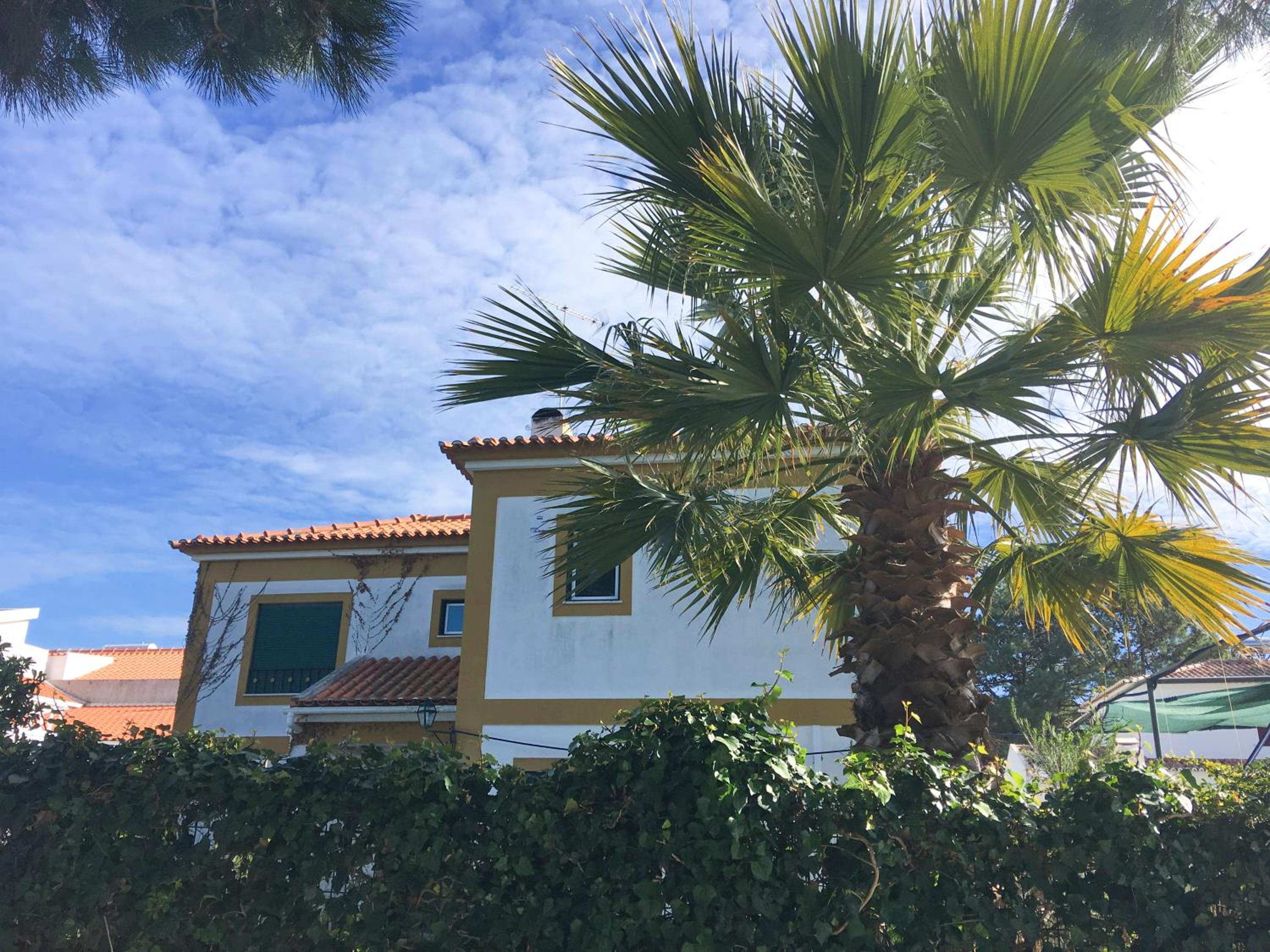 Villa with Private Pool photo 3