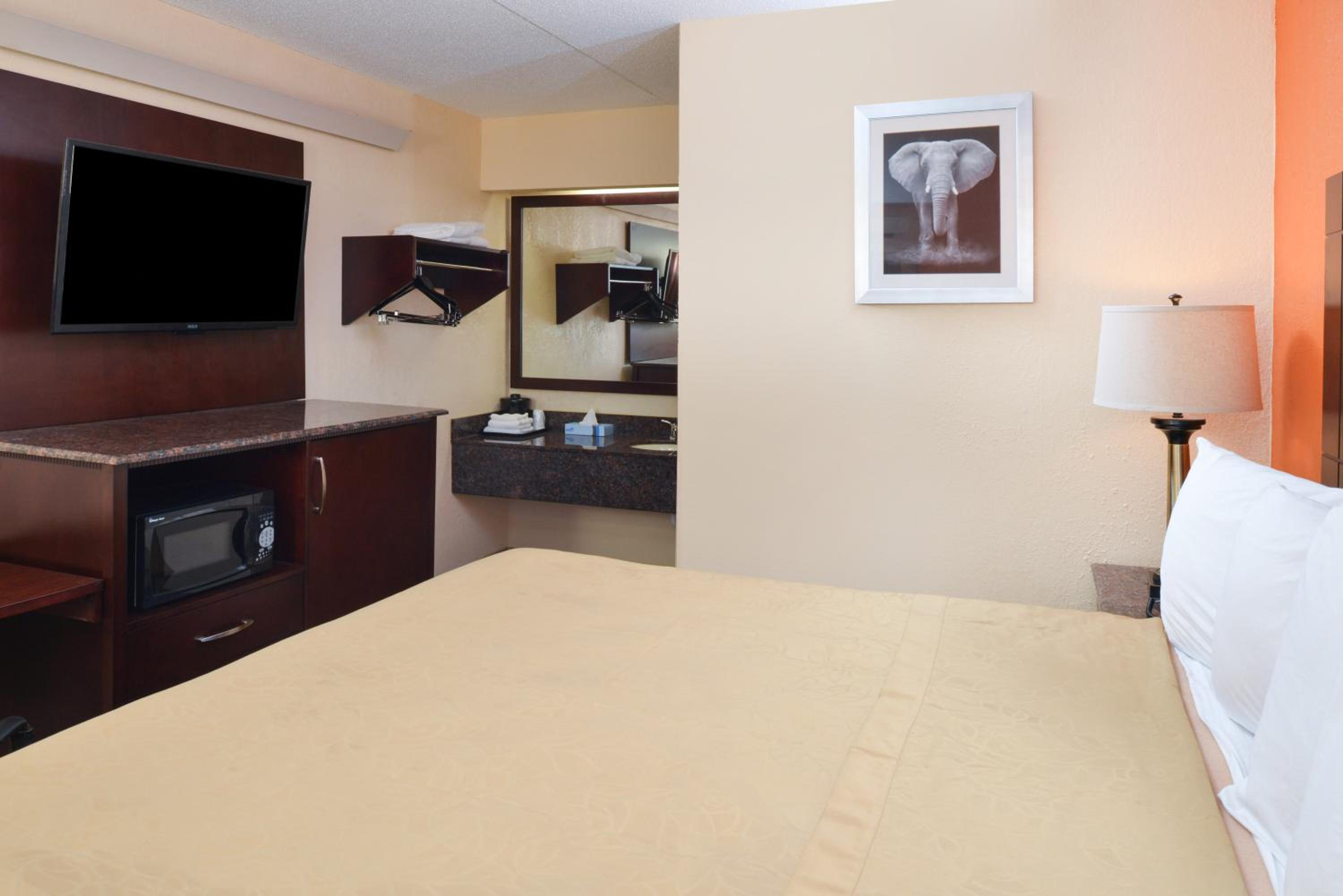King Room - Non-Smoking - Photo 4