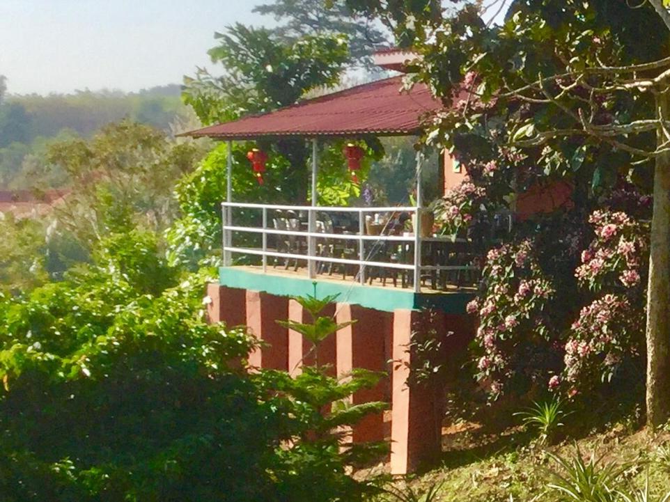 Family Bungalow photo 3