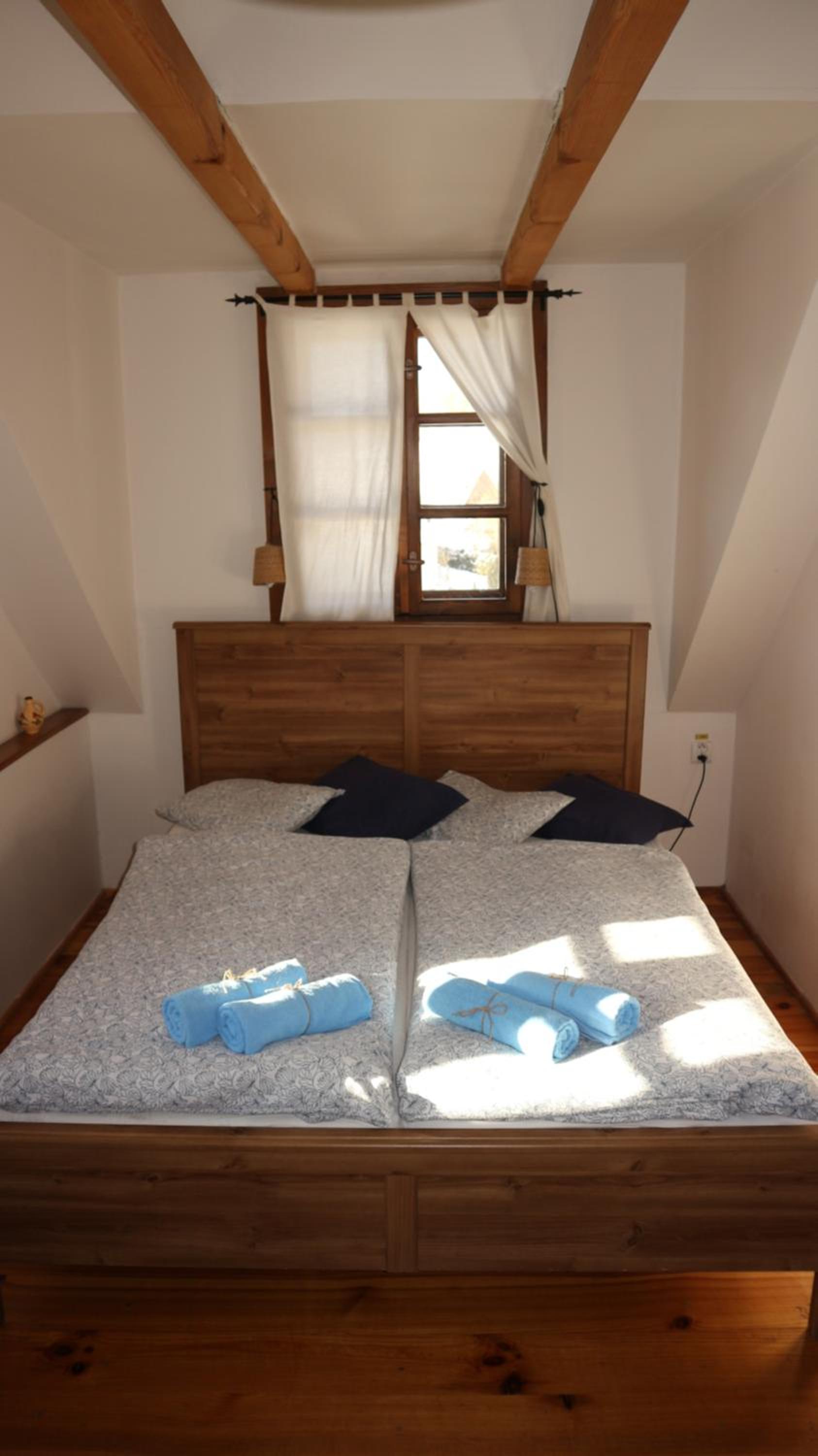 Suite - Photo 1