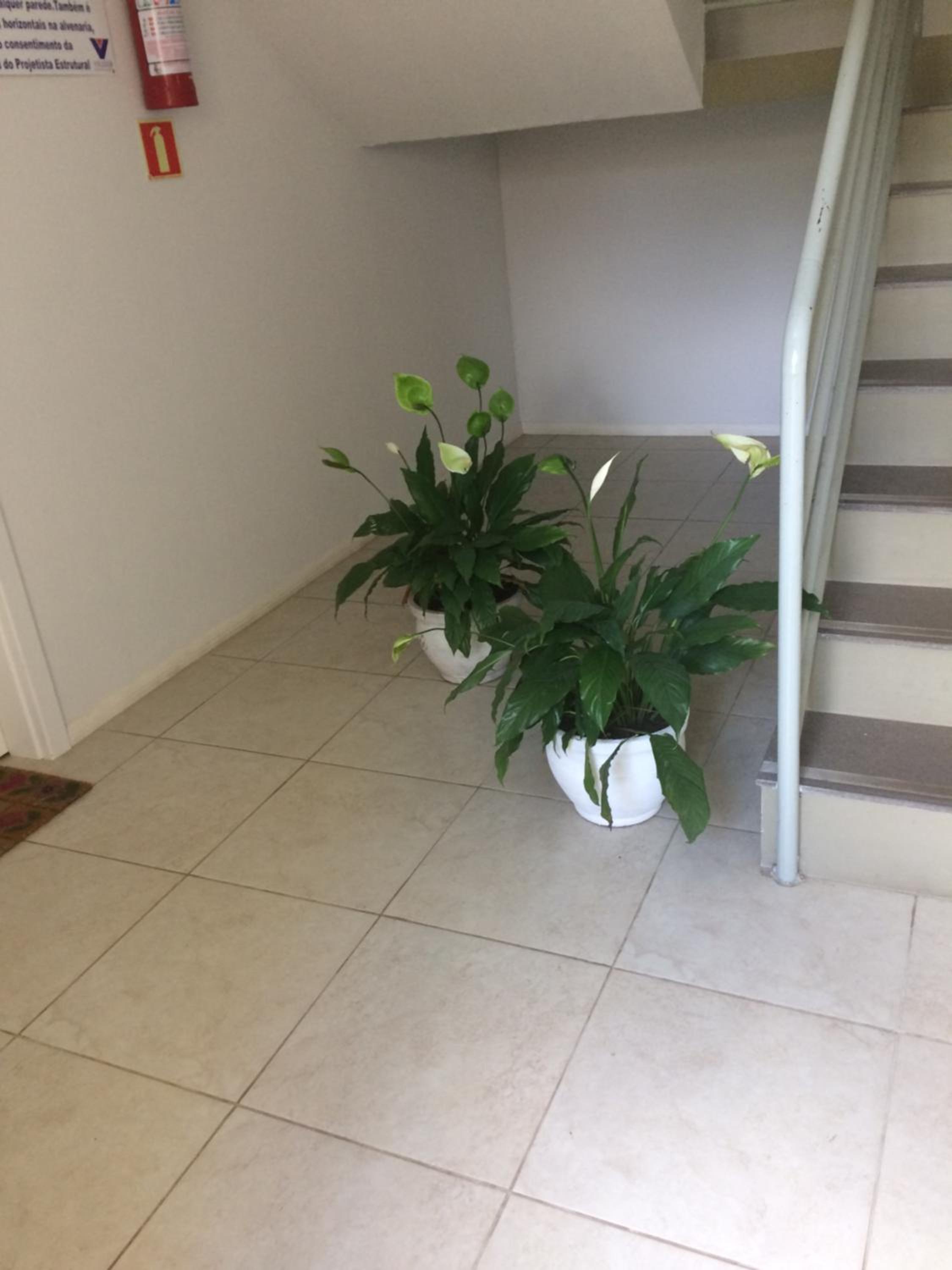 Apartment with Garden View - Photo 25
