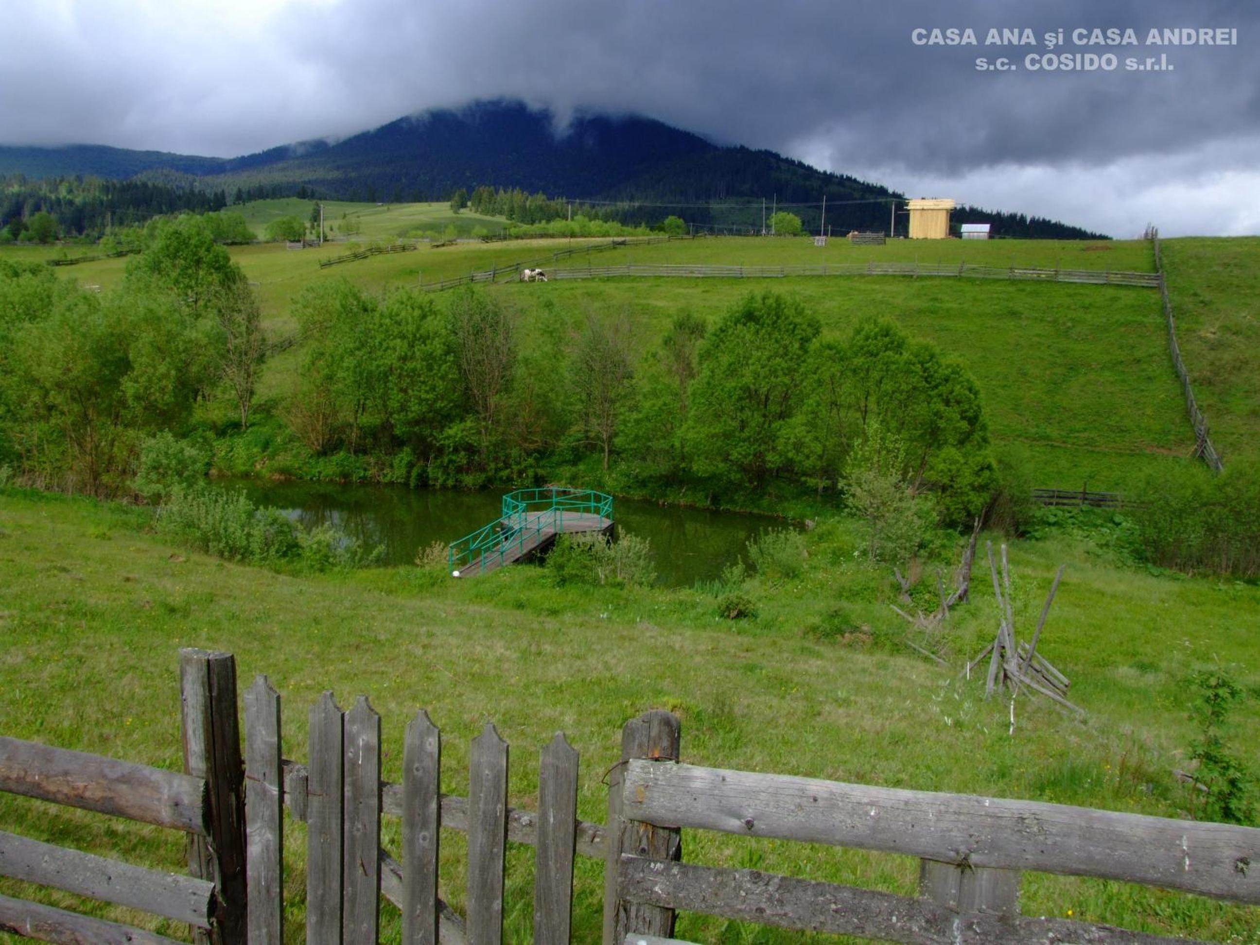 Villa photo 3