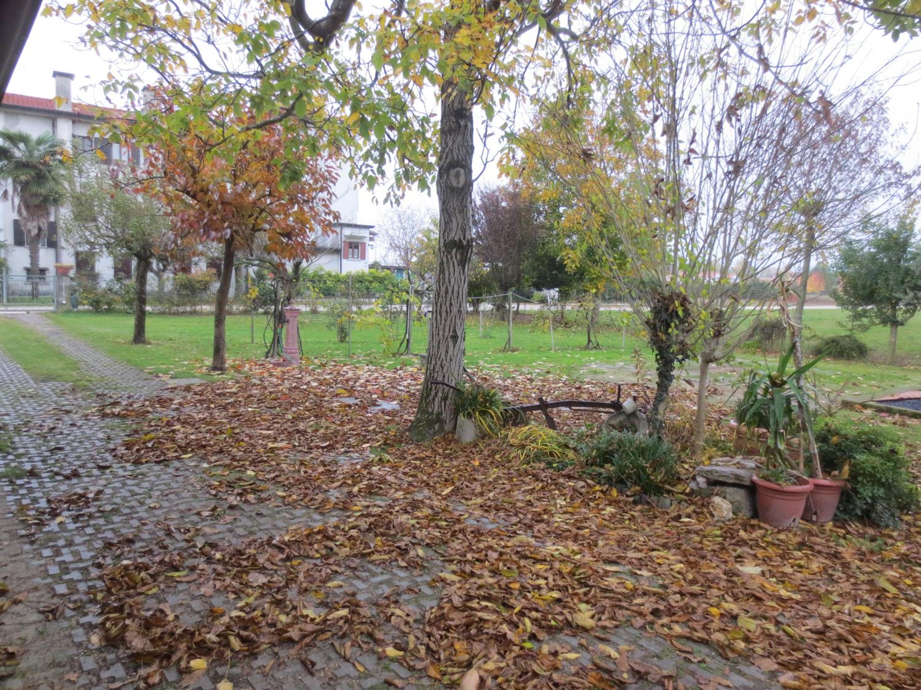 Apartment - Ground Floor - Photo 78