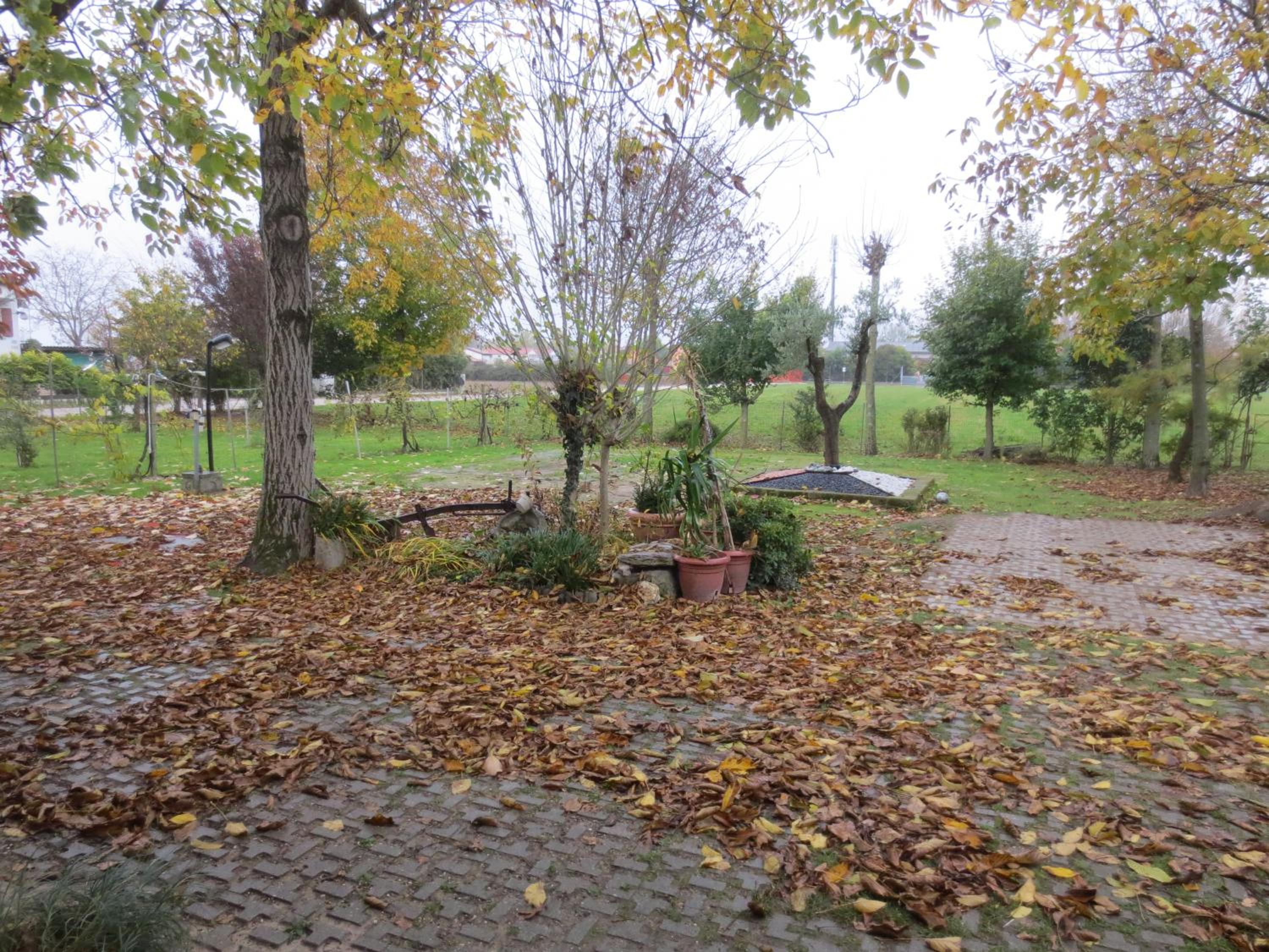 Apartment - Ground Floor - Photo 77