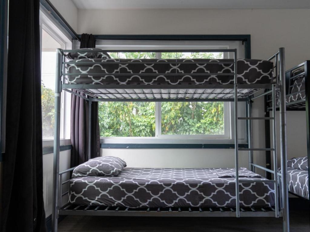 Bunk Bed in Female Dormitory Room