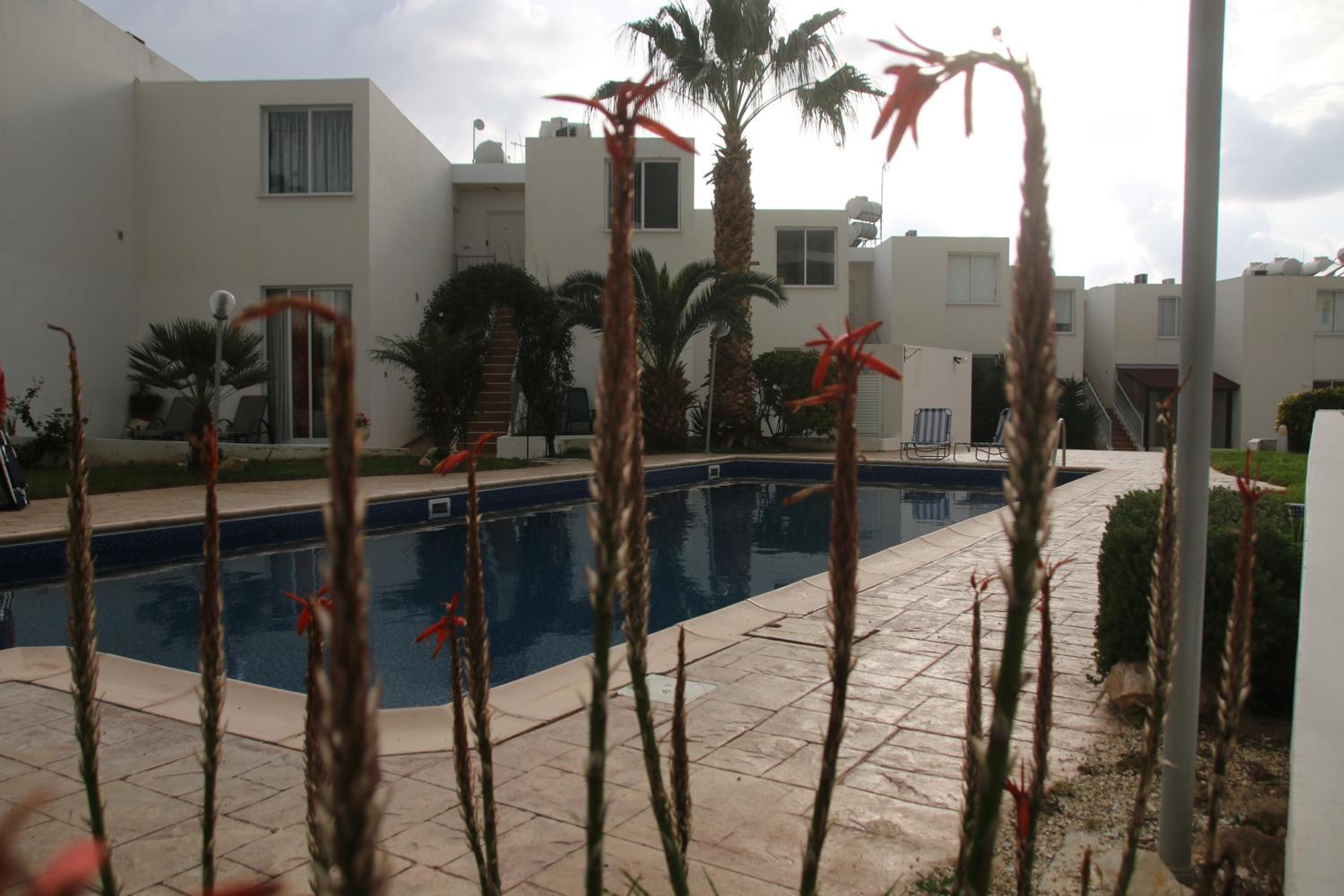 Apartment with Sea View photo 1