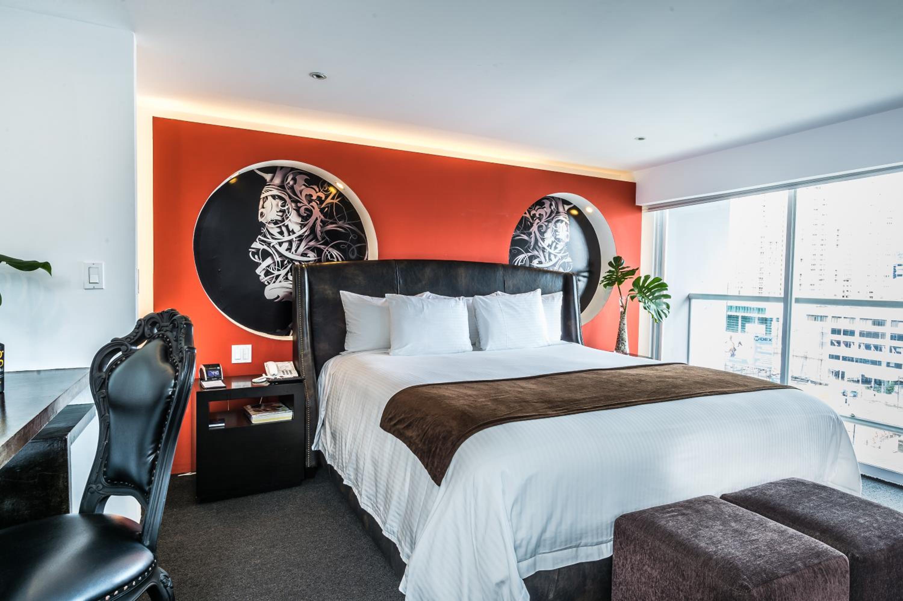 Suites - Photo 1
