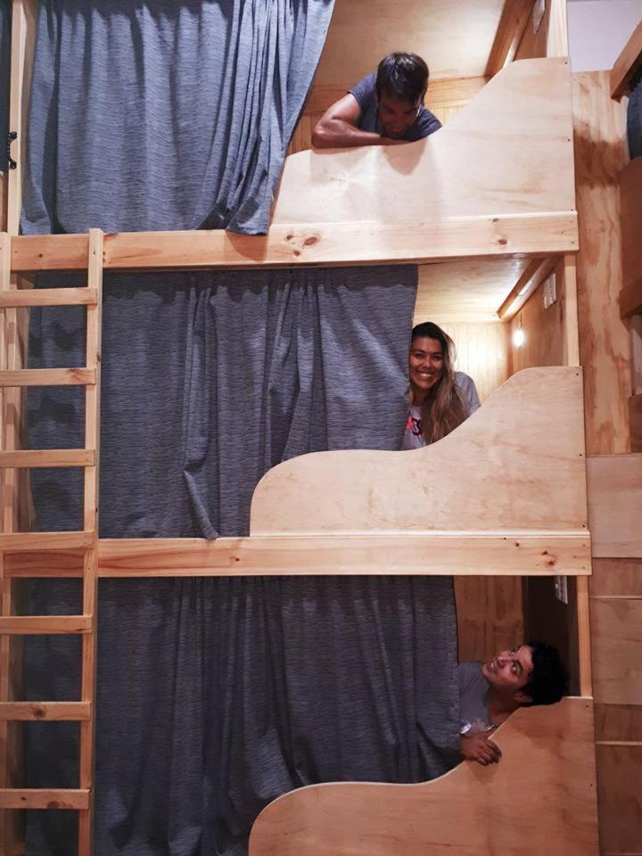 Bunk Bed In Mixed Dormitory Room photo 1