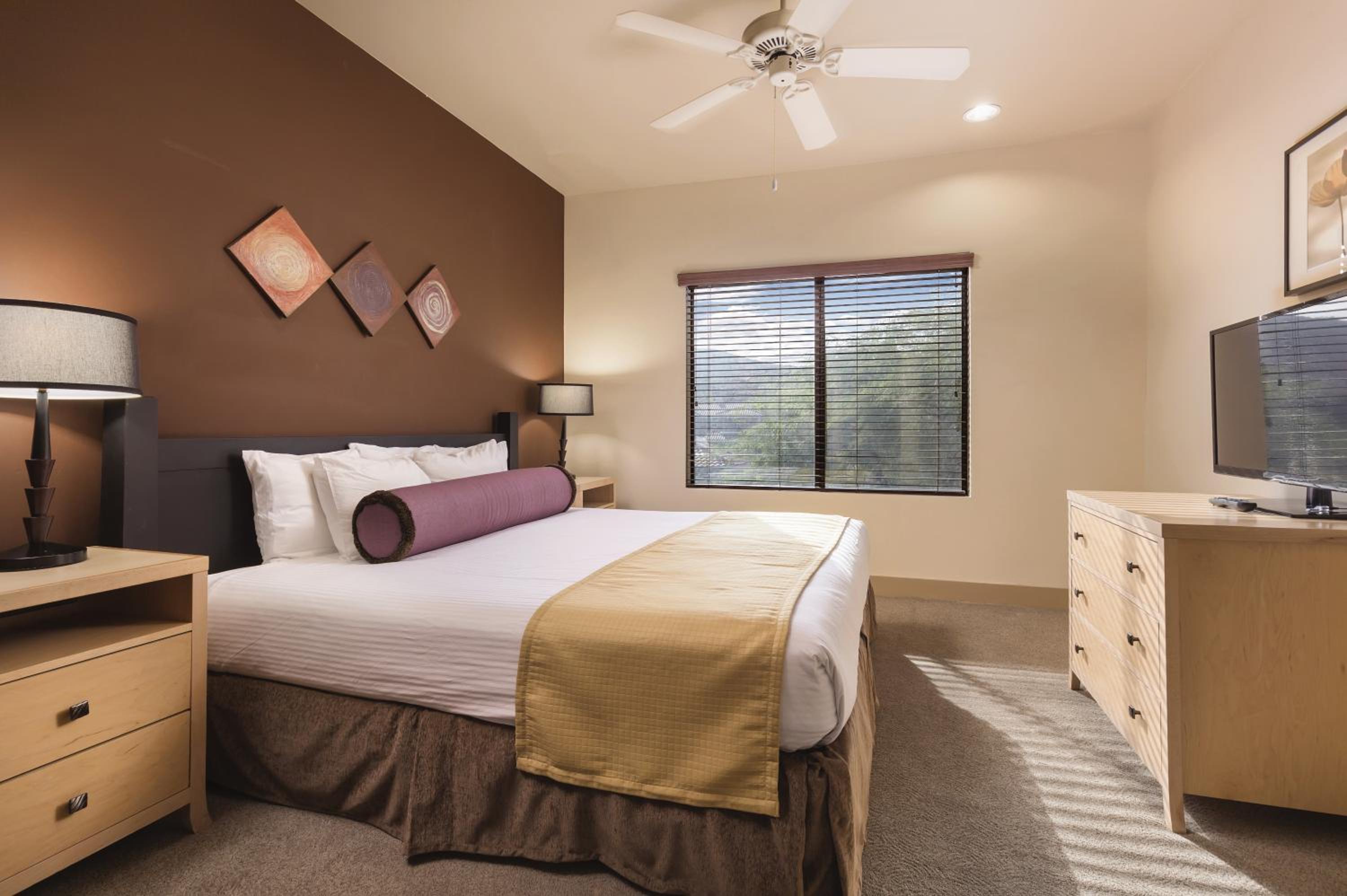 Standard Suite photo 1