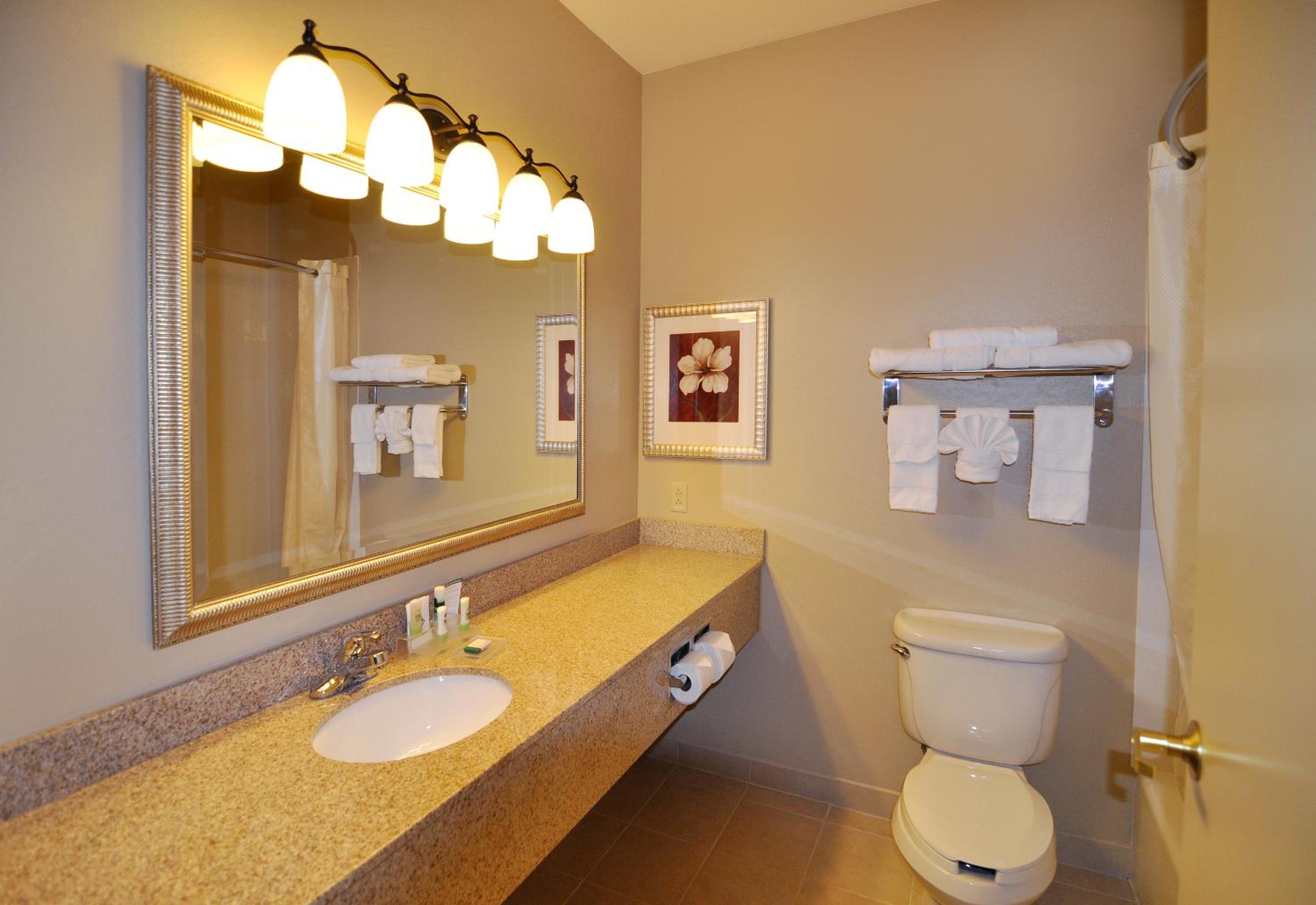 One-Bedroom King Suite with Sofa Bed - Photo 4
