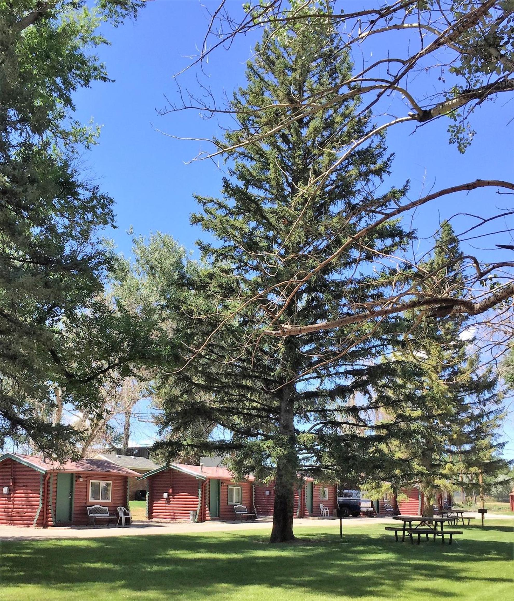 Queen Cabin - Pet Friendly photo 2