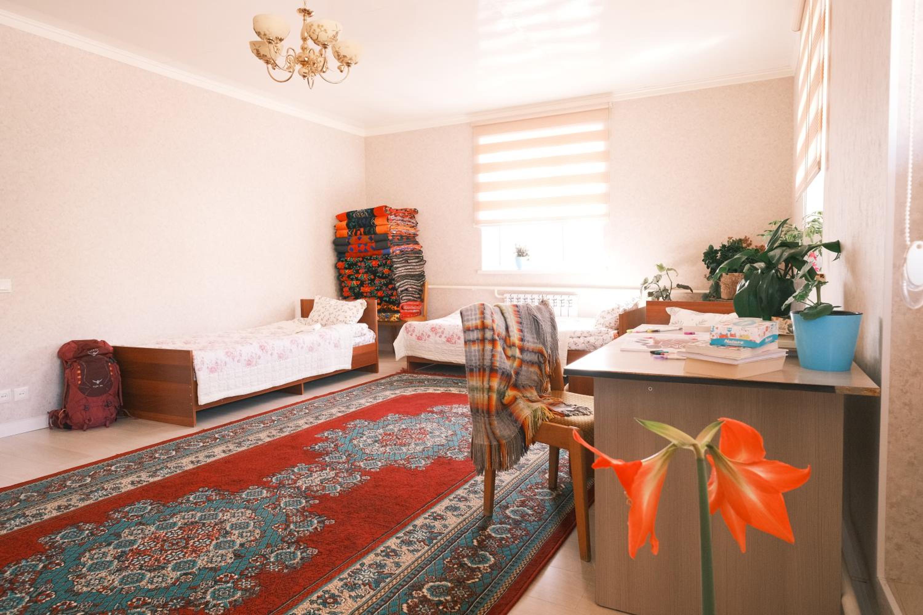 4-Bed Mixed Dormitory Room