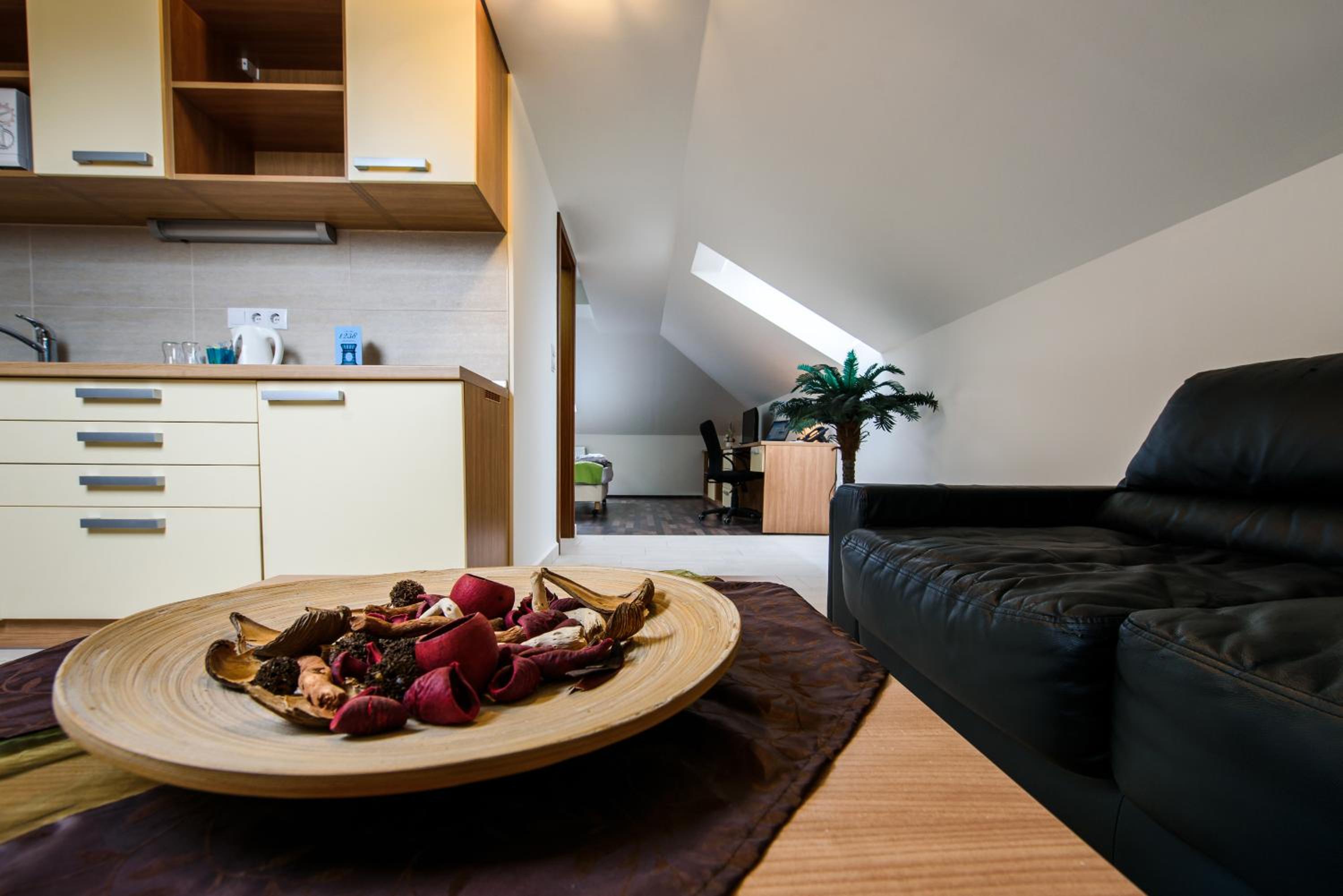 Standard Apartment - Attic