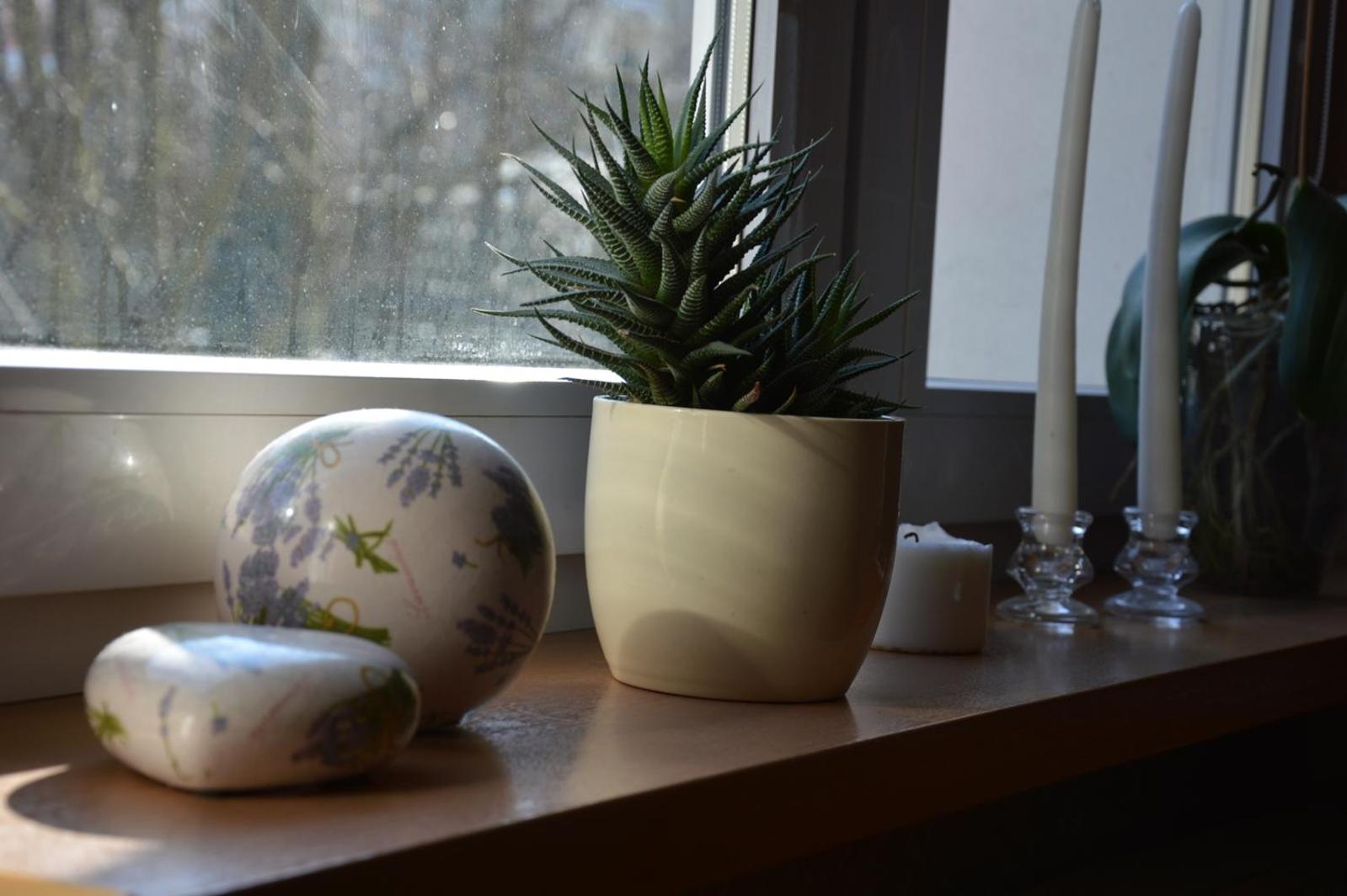 Apartment with Garden View - Photo 10