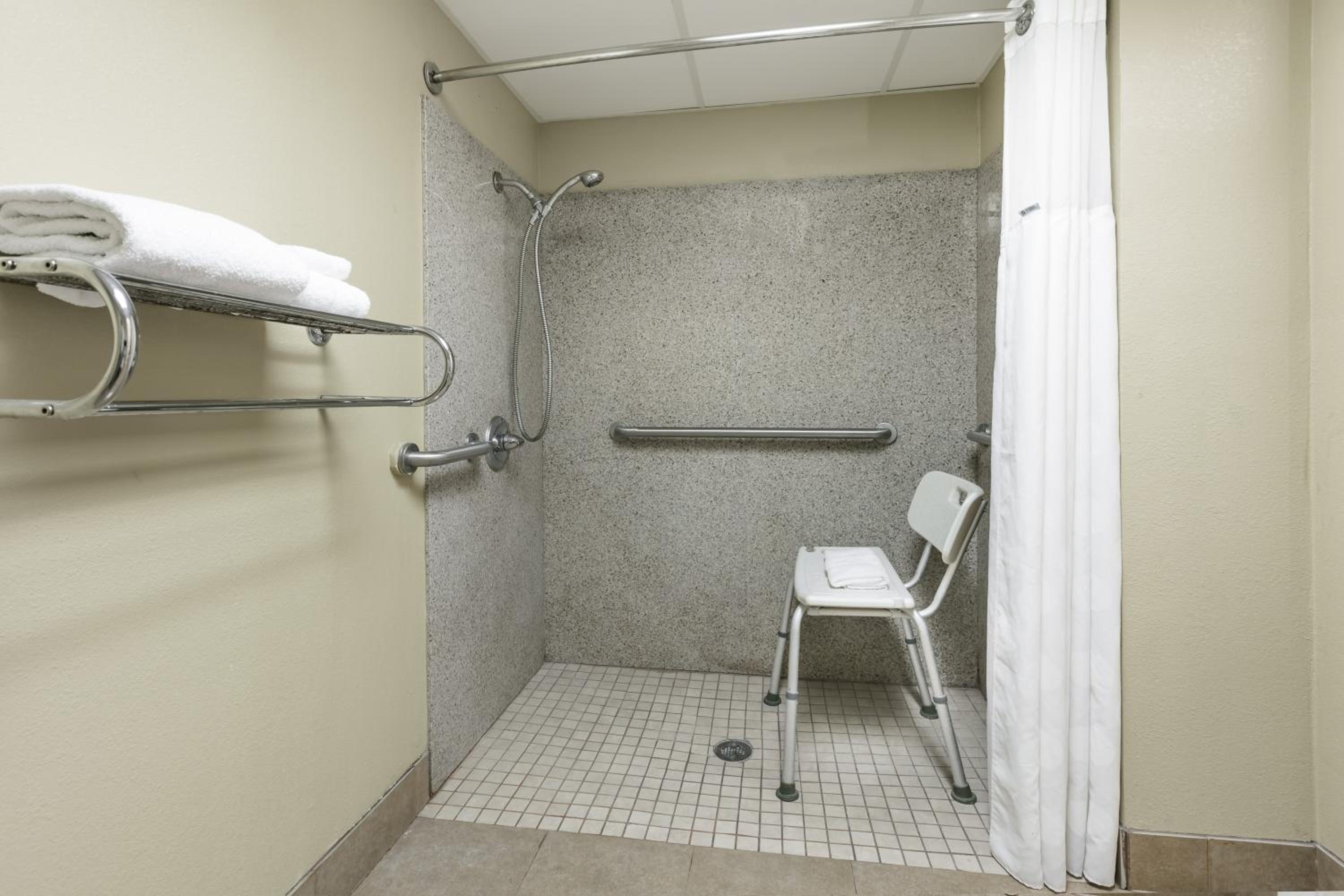 King Room with Roll-In Shower - Mobility Accessible/Smoking - Photo 4