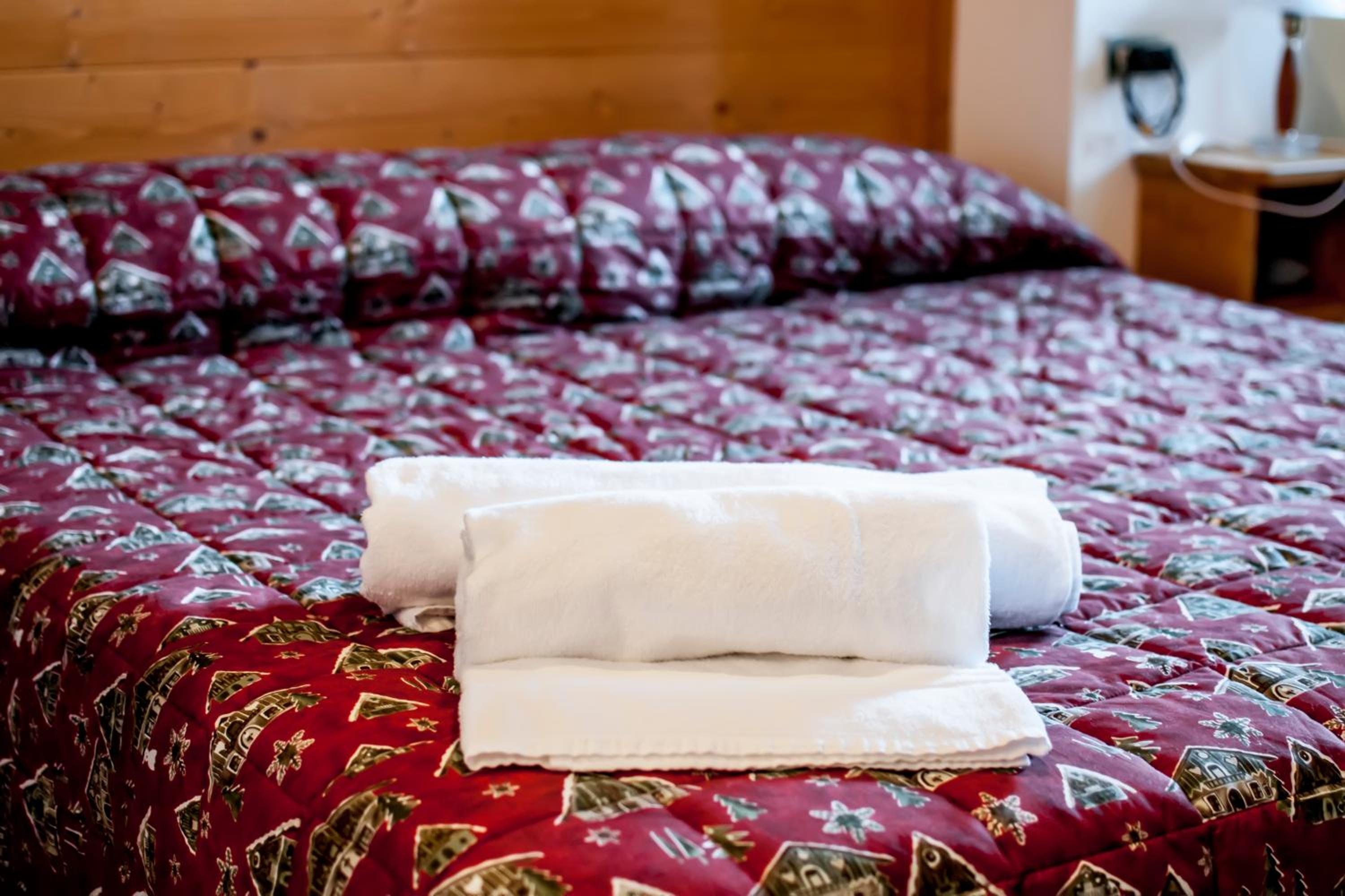 Double or Twin Room - Annex