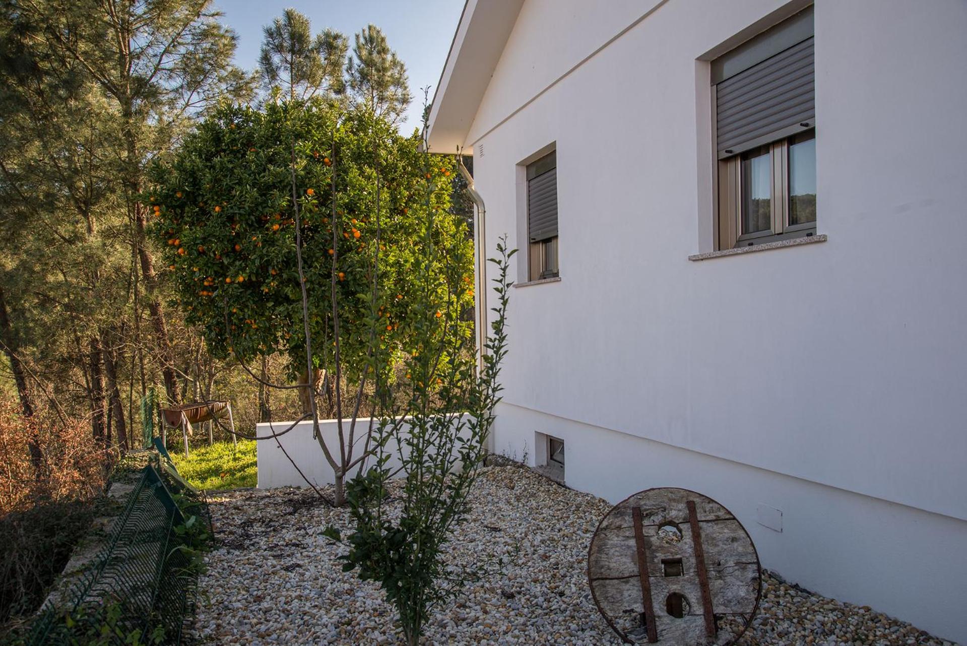 Holiday Home photo 2