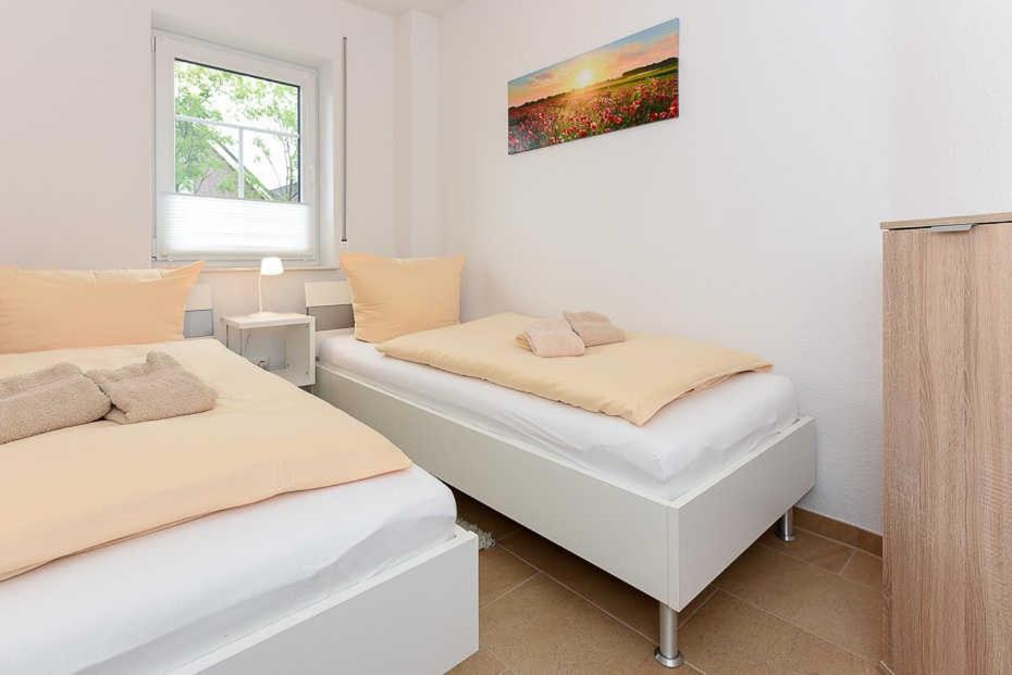 Apartment with Terrace photo 1