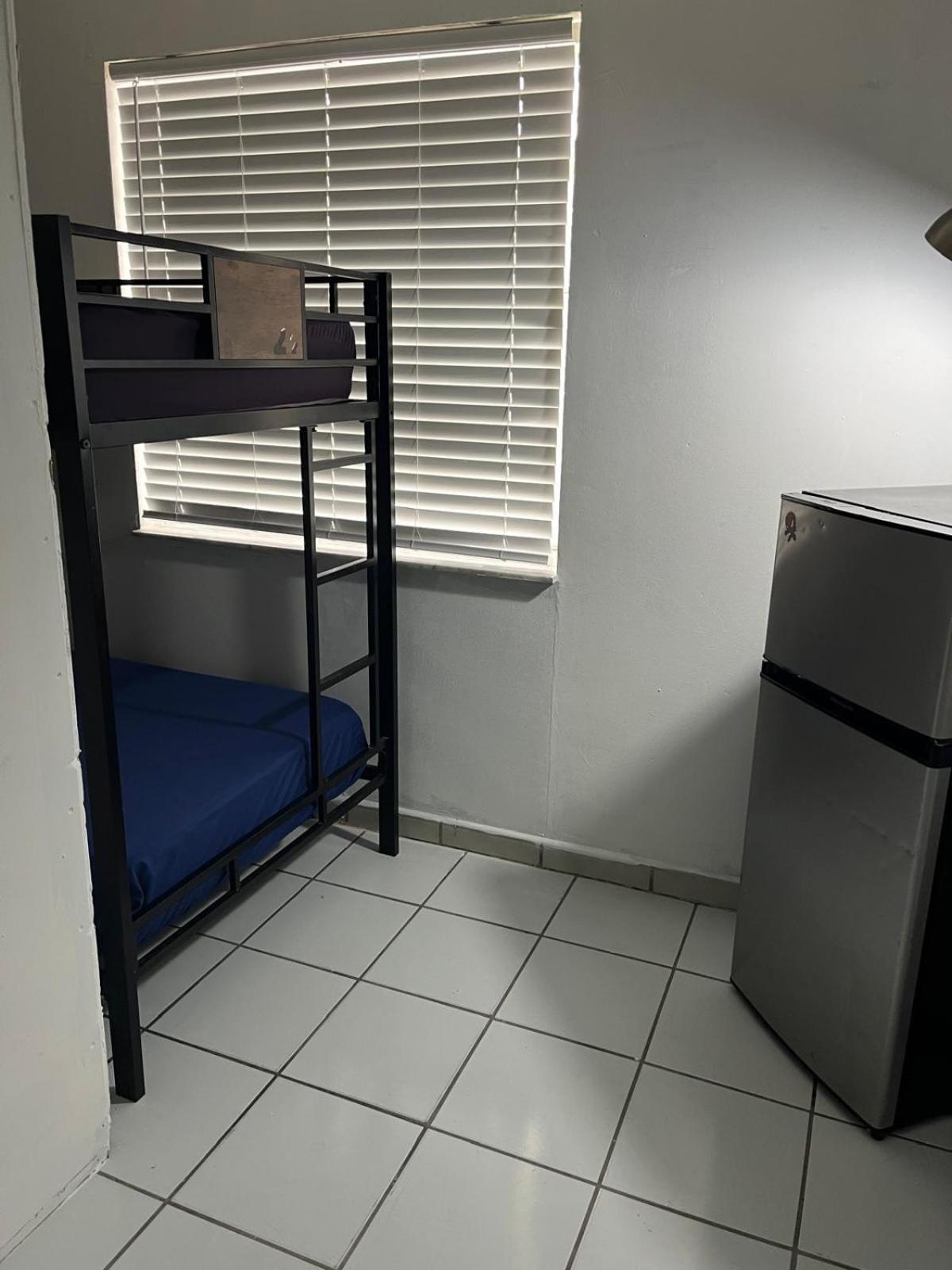 Bunk Bed in Mixed Dormitory Room photo 1