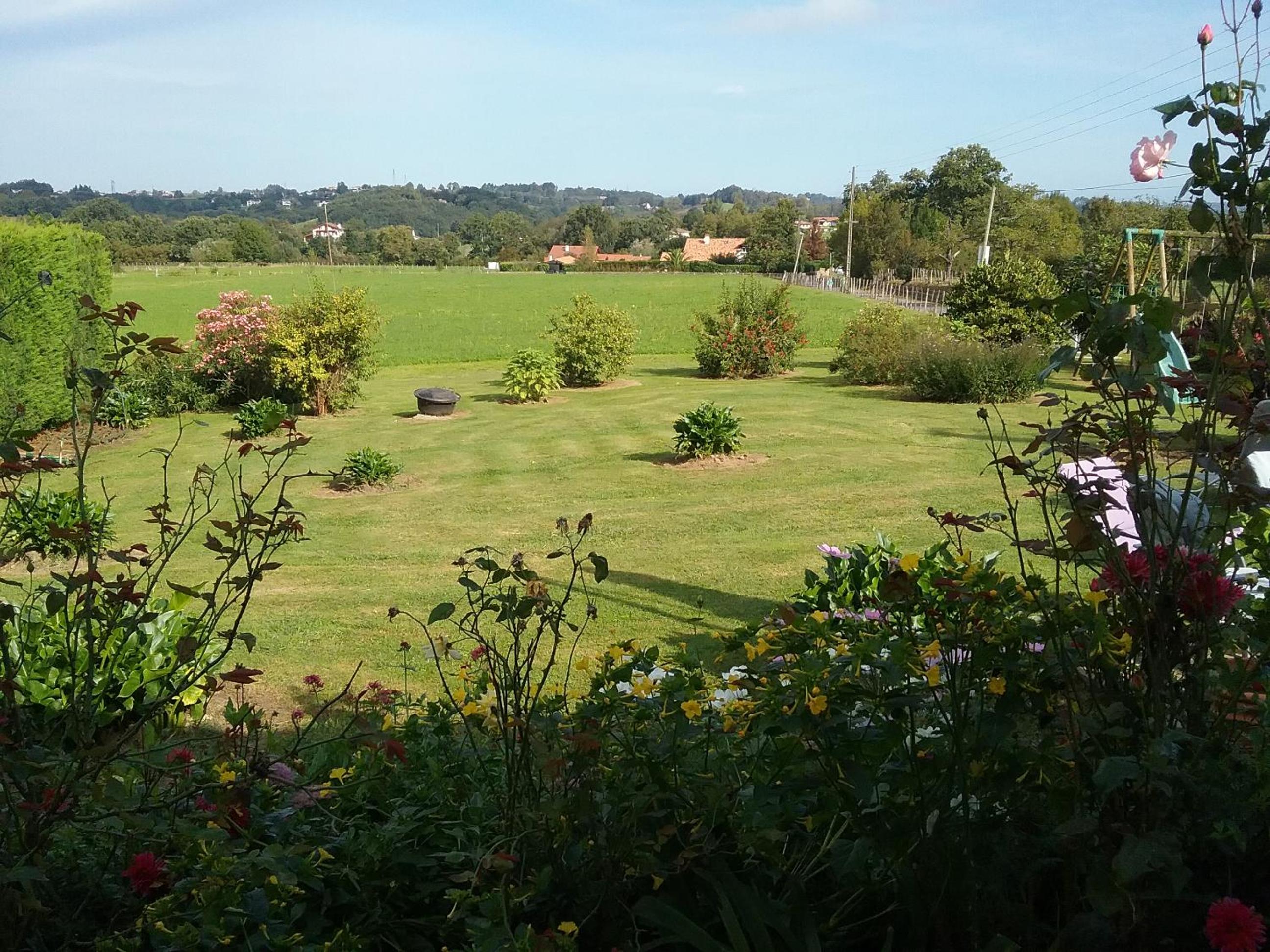 King Room with Garden View photo 1
