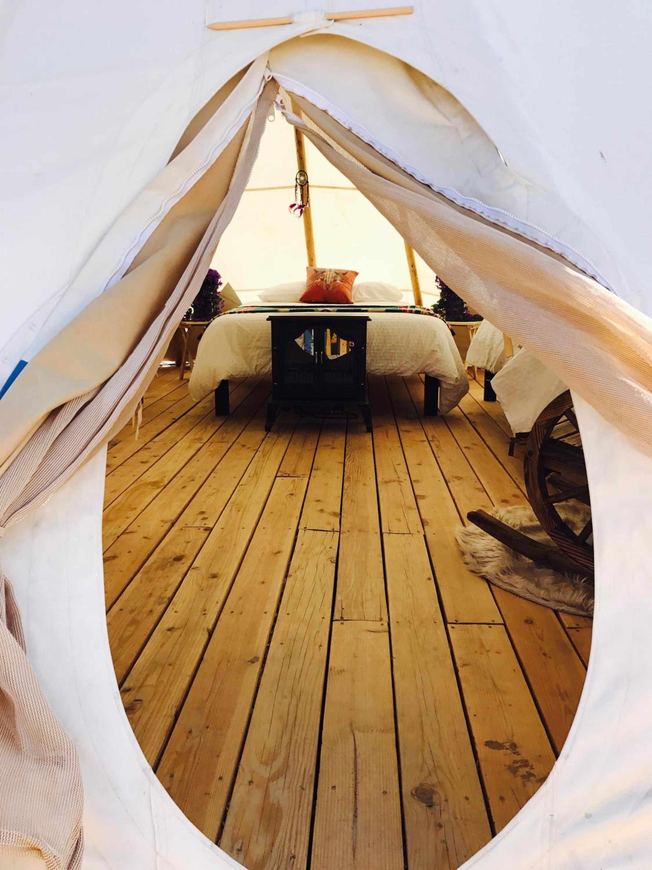 Teepee - Coyote photo 1