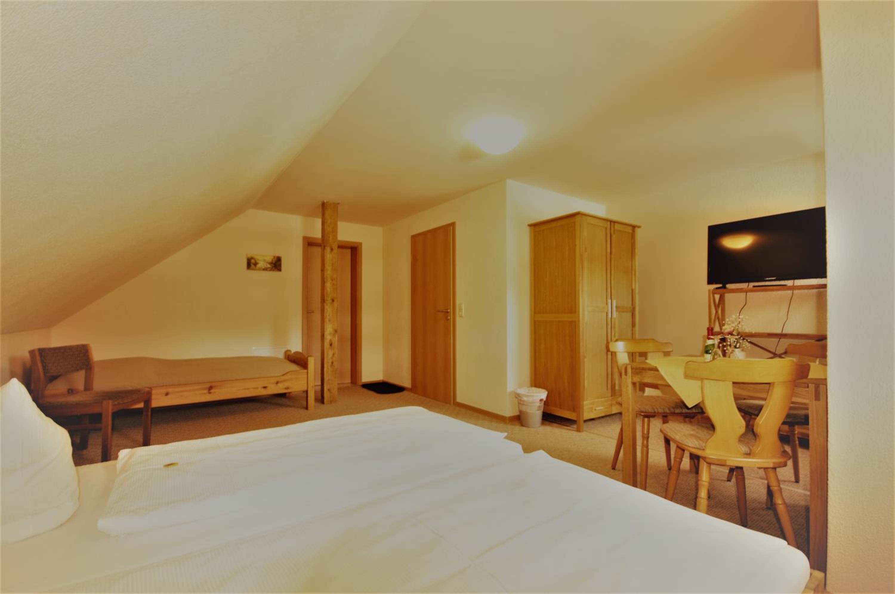 Double Room with Extra Bed photo 2