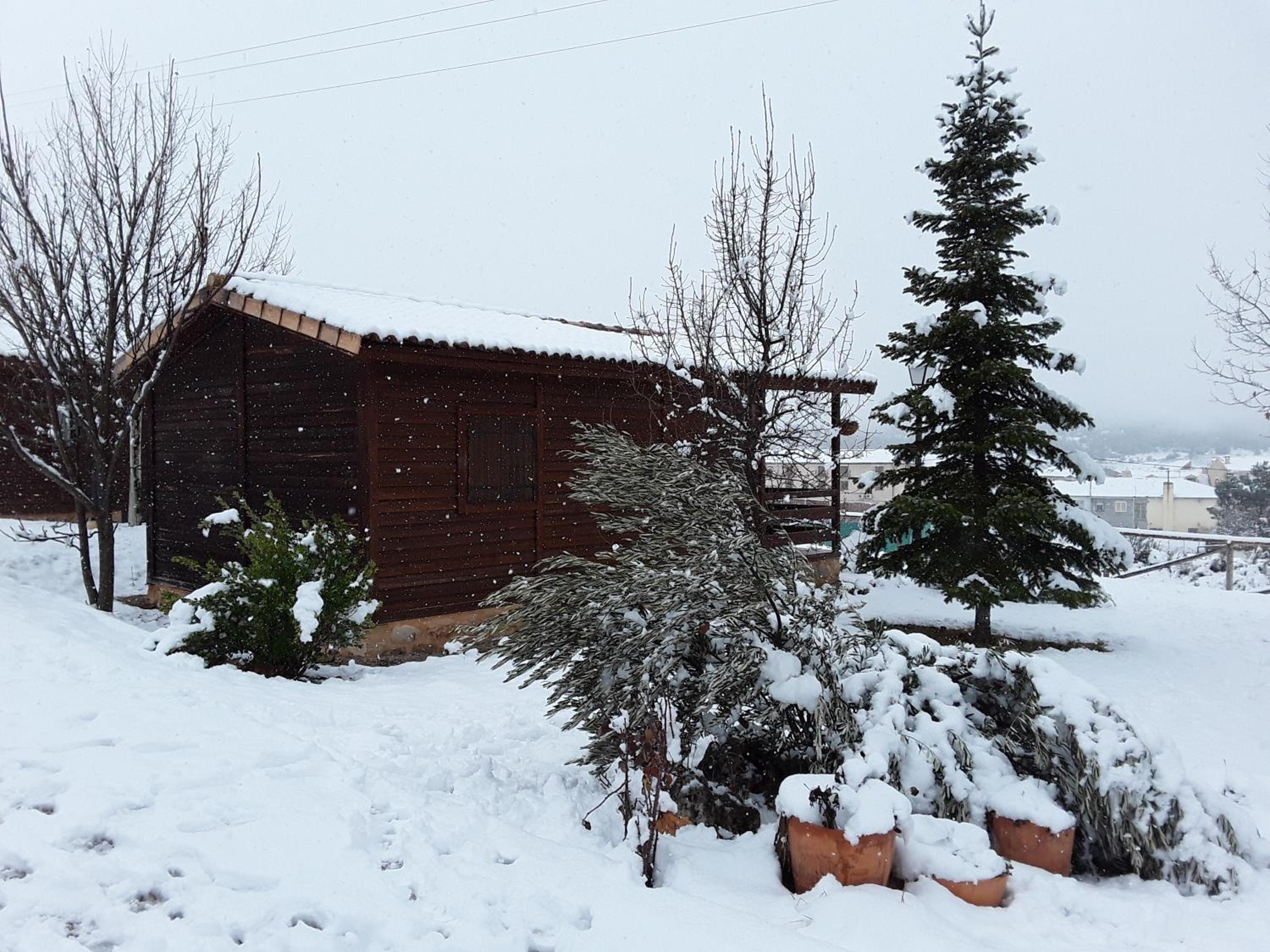 Two-Bedroom Bungalow - Photo 2