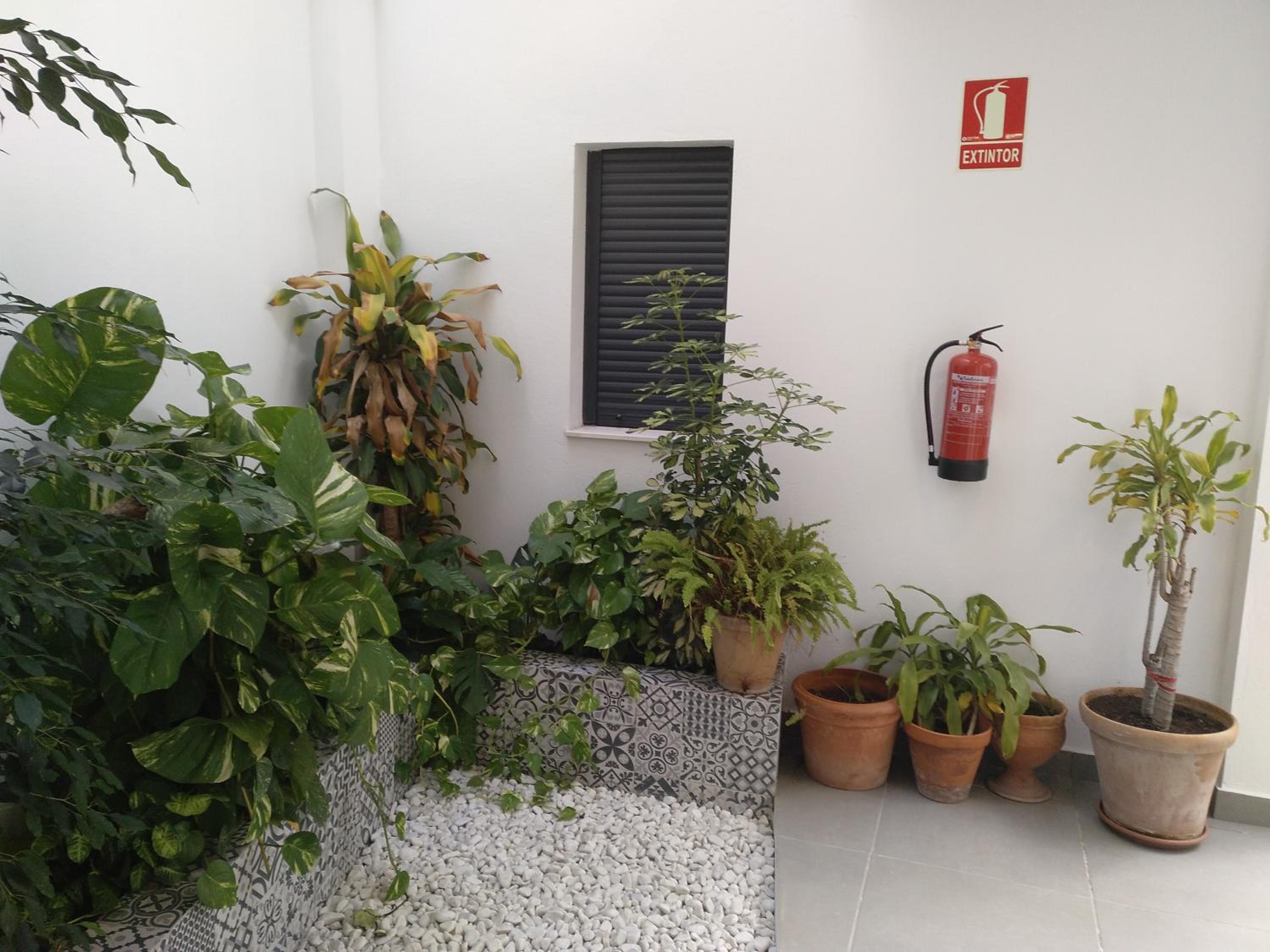 Apartment - Photo 13
