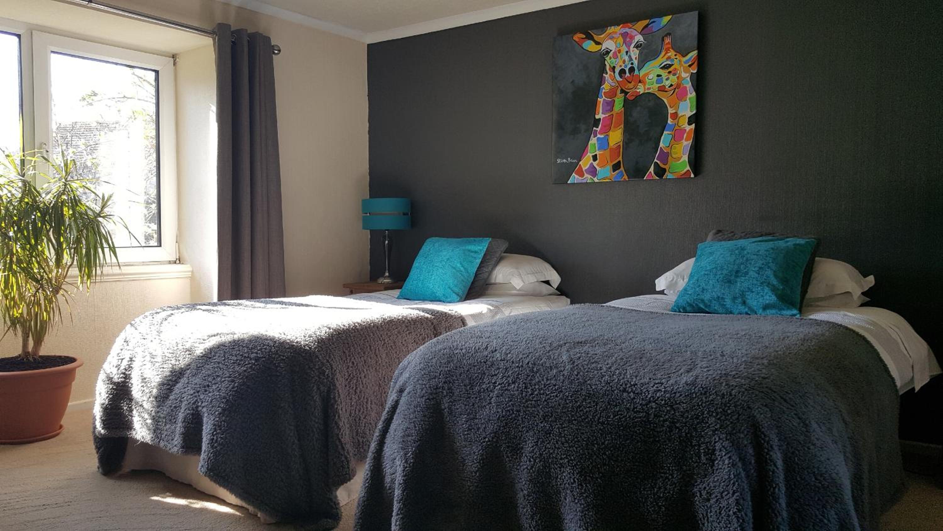 Twin Room photo 1