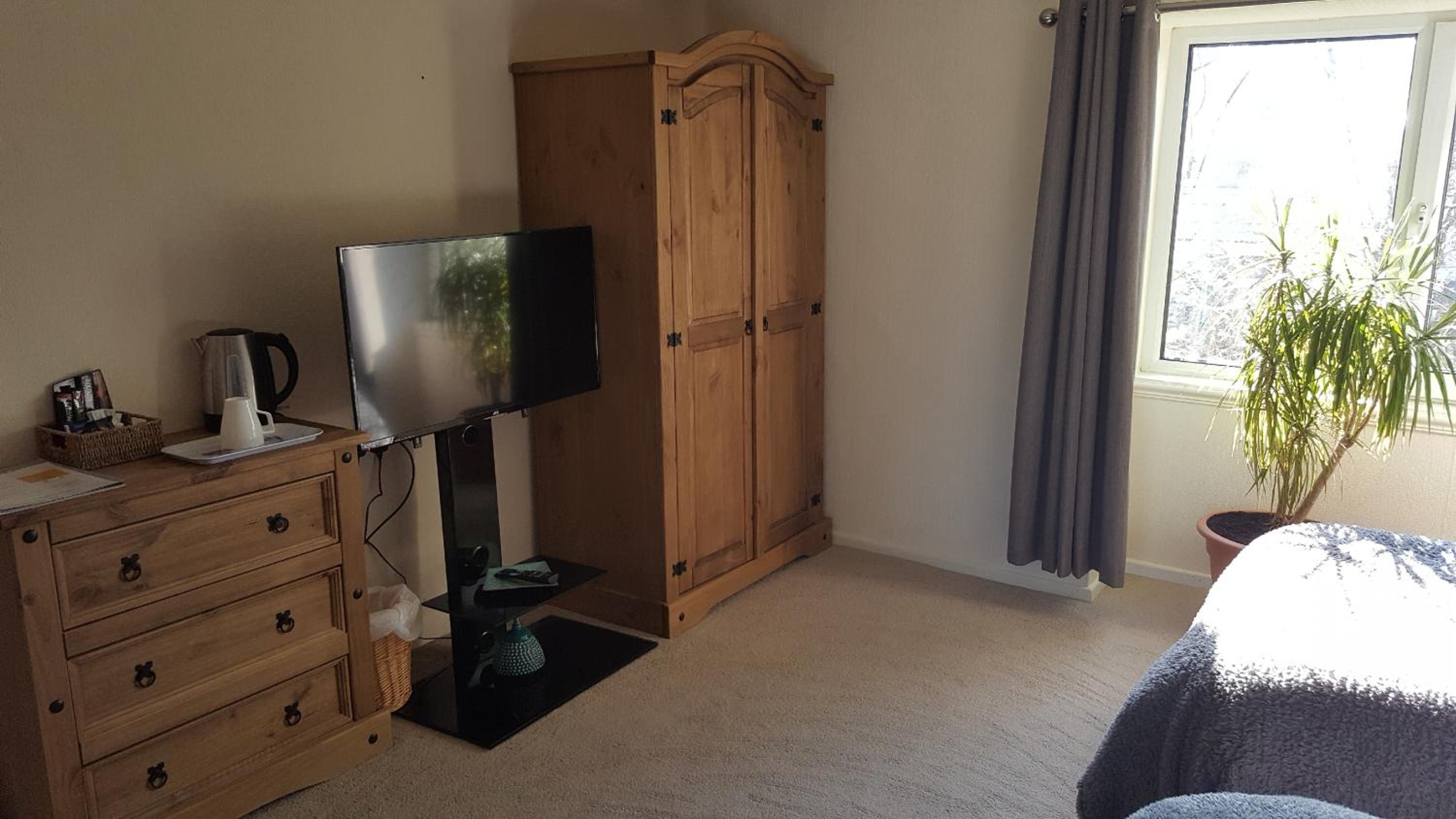 Twin Room photo 2