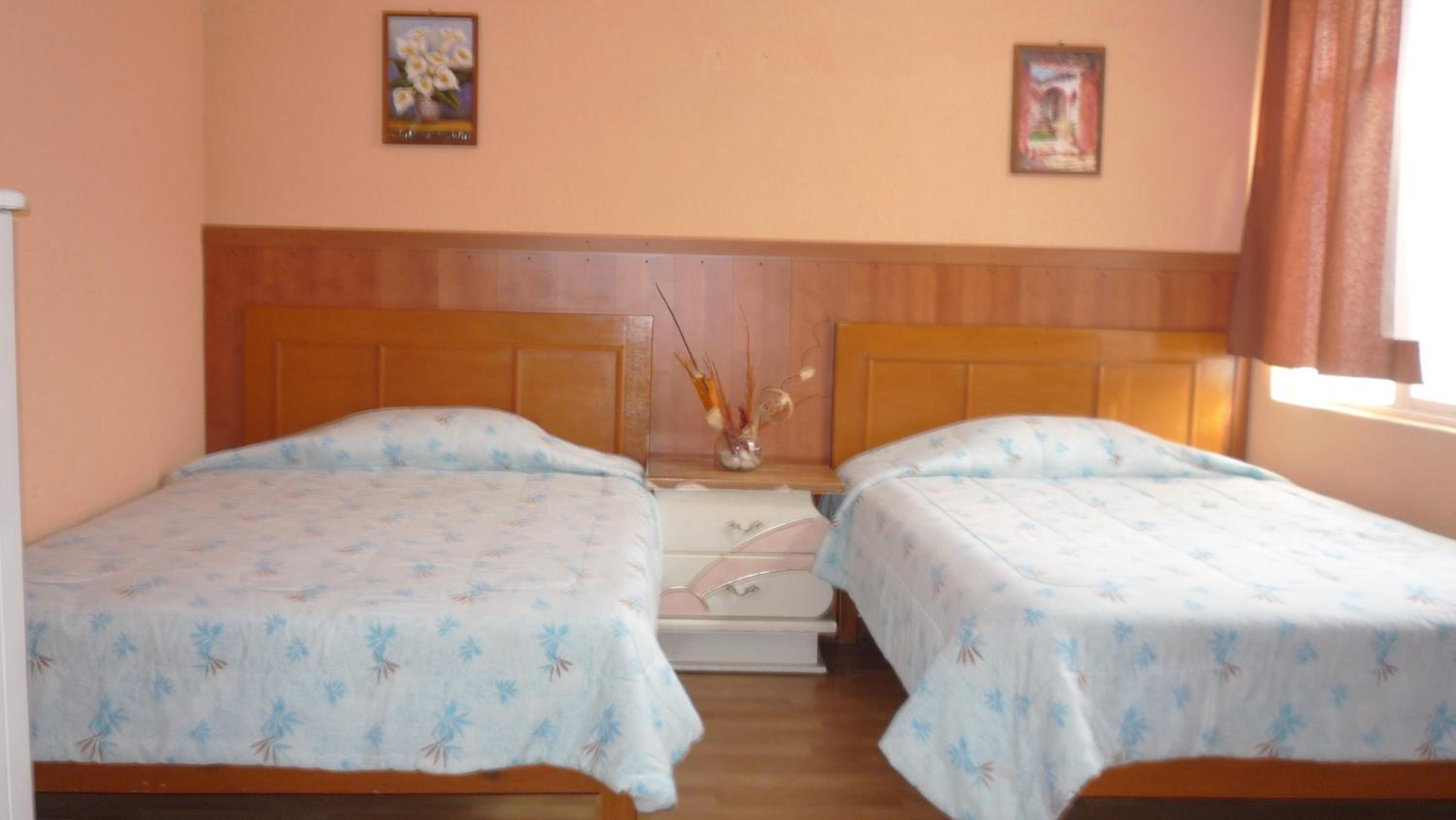 Double Room with Two Double Beds photo 3