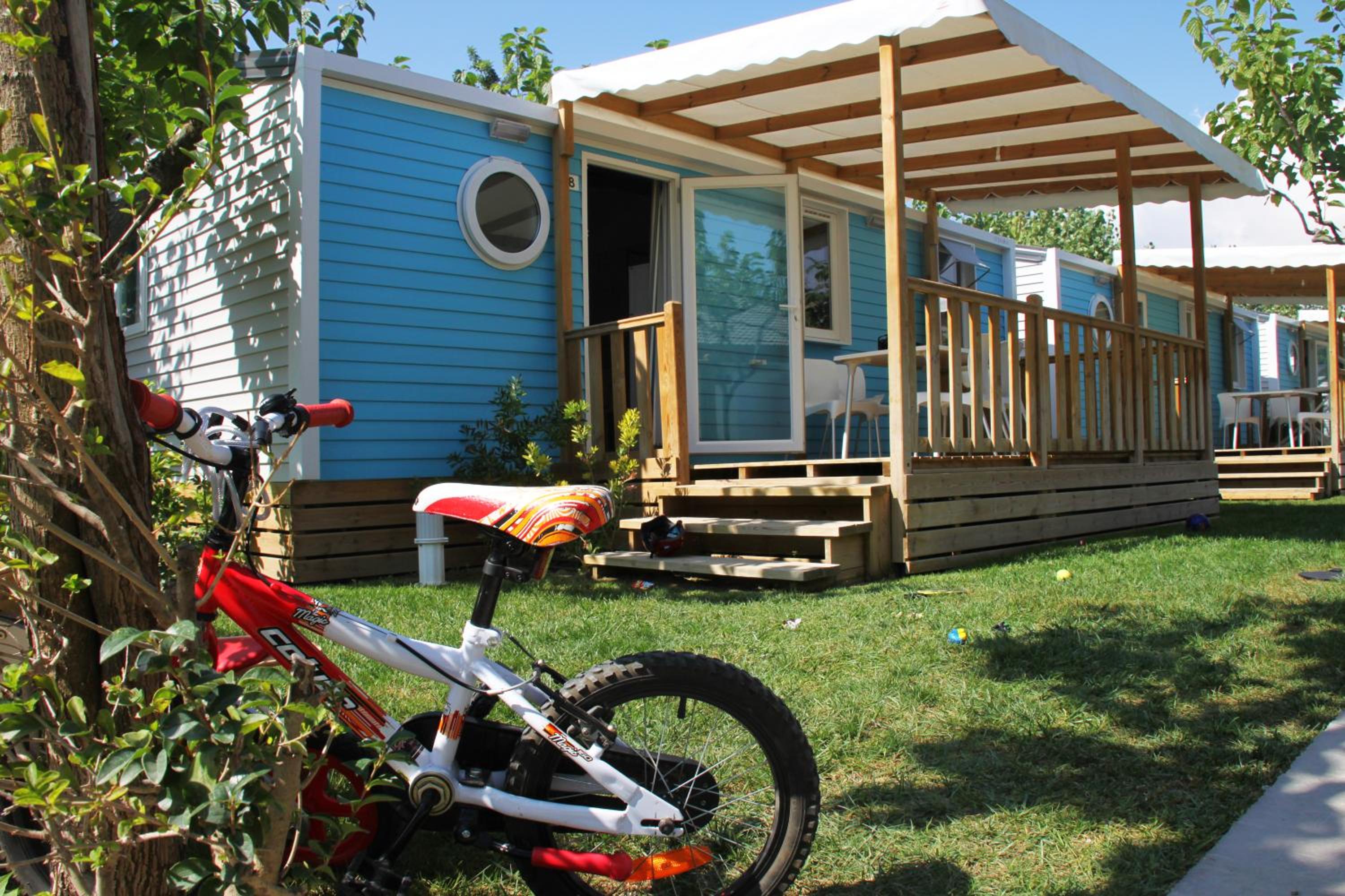 Mobile Home photo 2