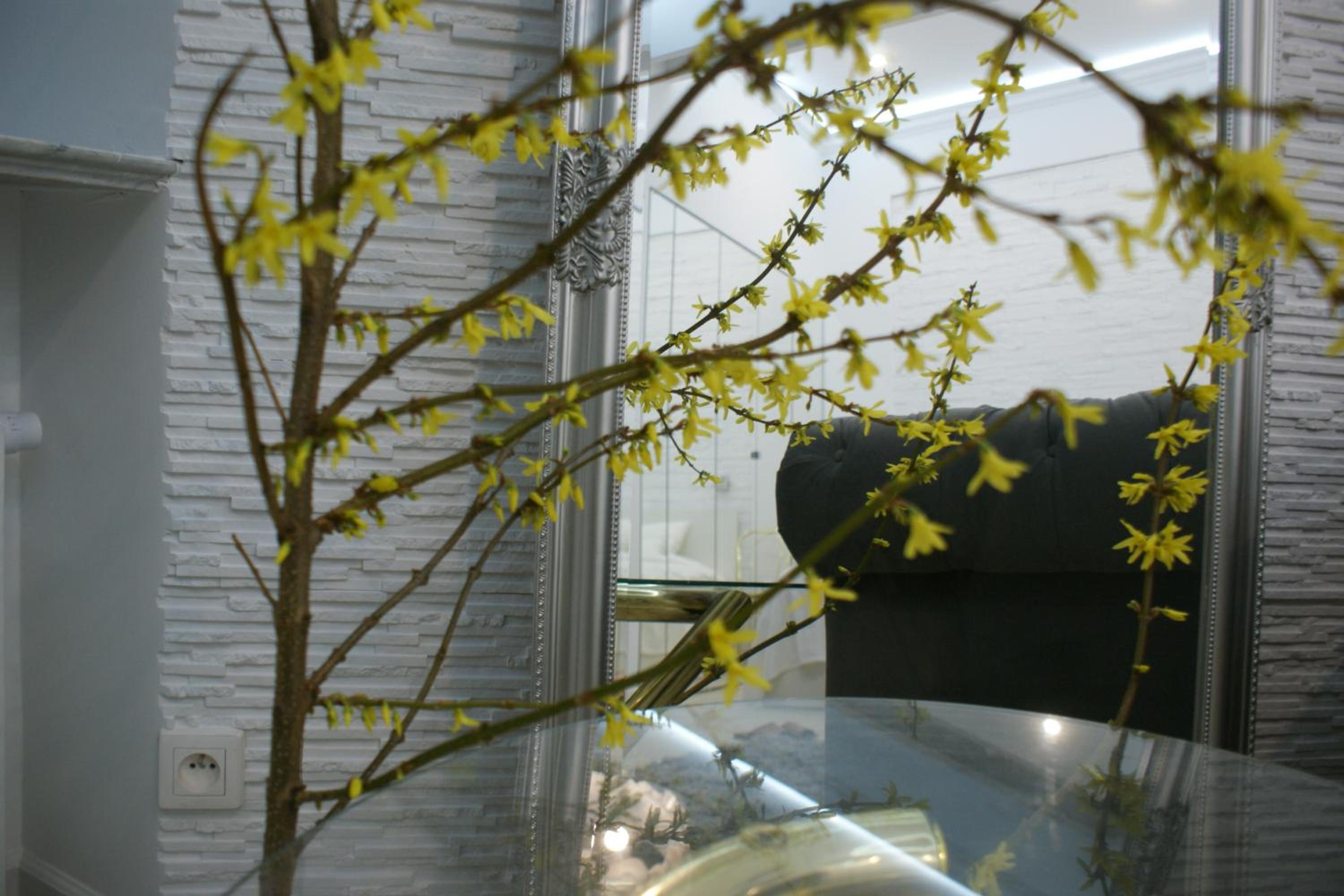 Apartment - Photo 3